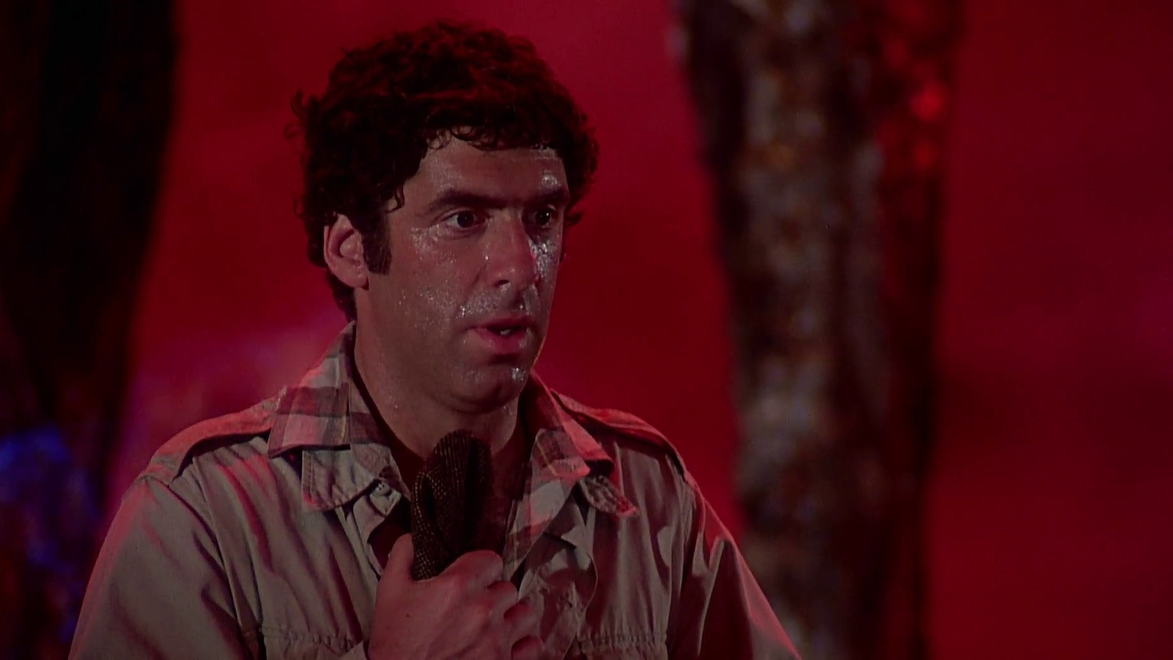 The Devil and Max Devlin