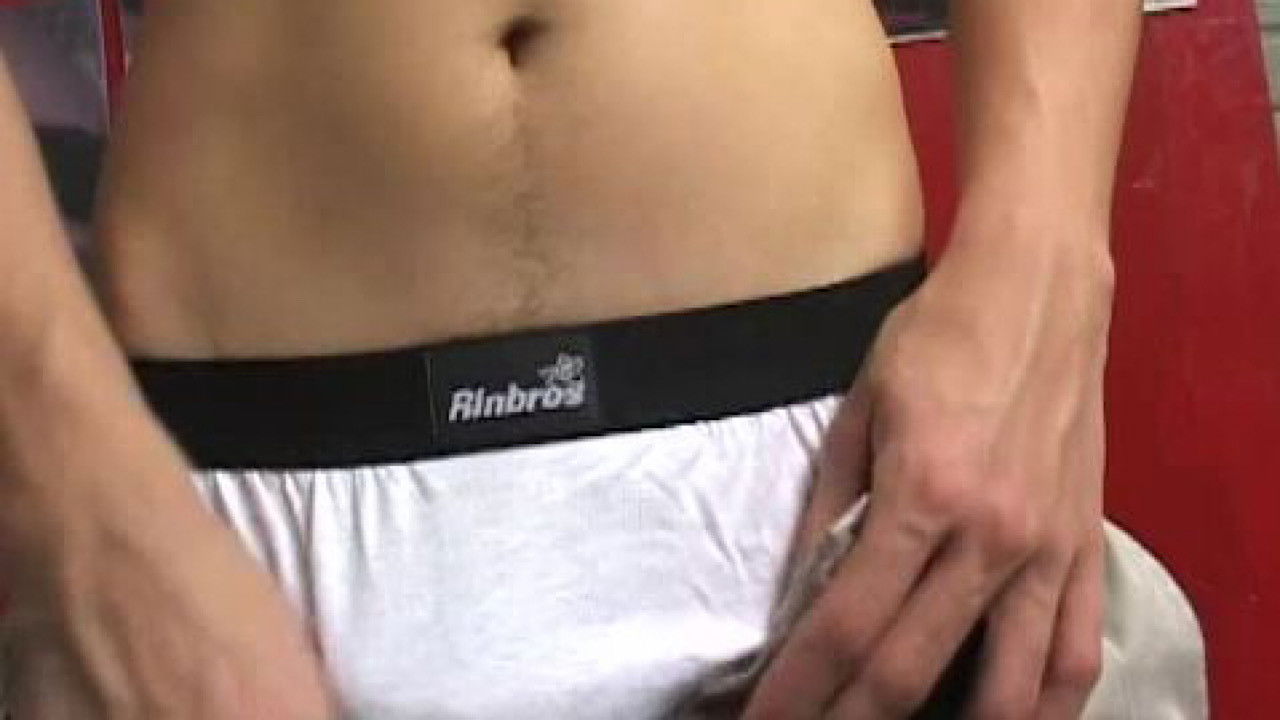 The Bulls of Guadalajara 4