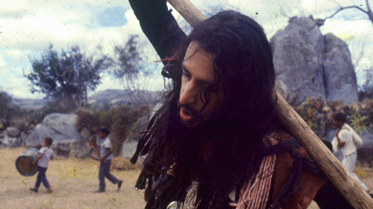 The Night of the Scarecrow