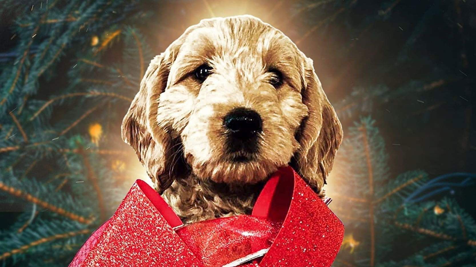 The Christmas Doodle