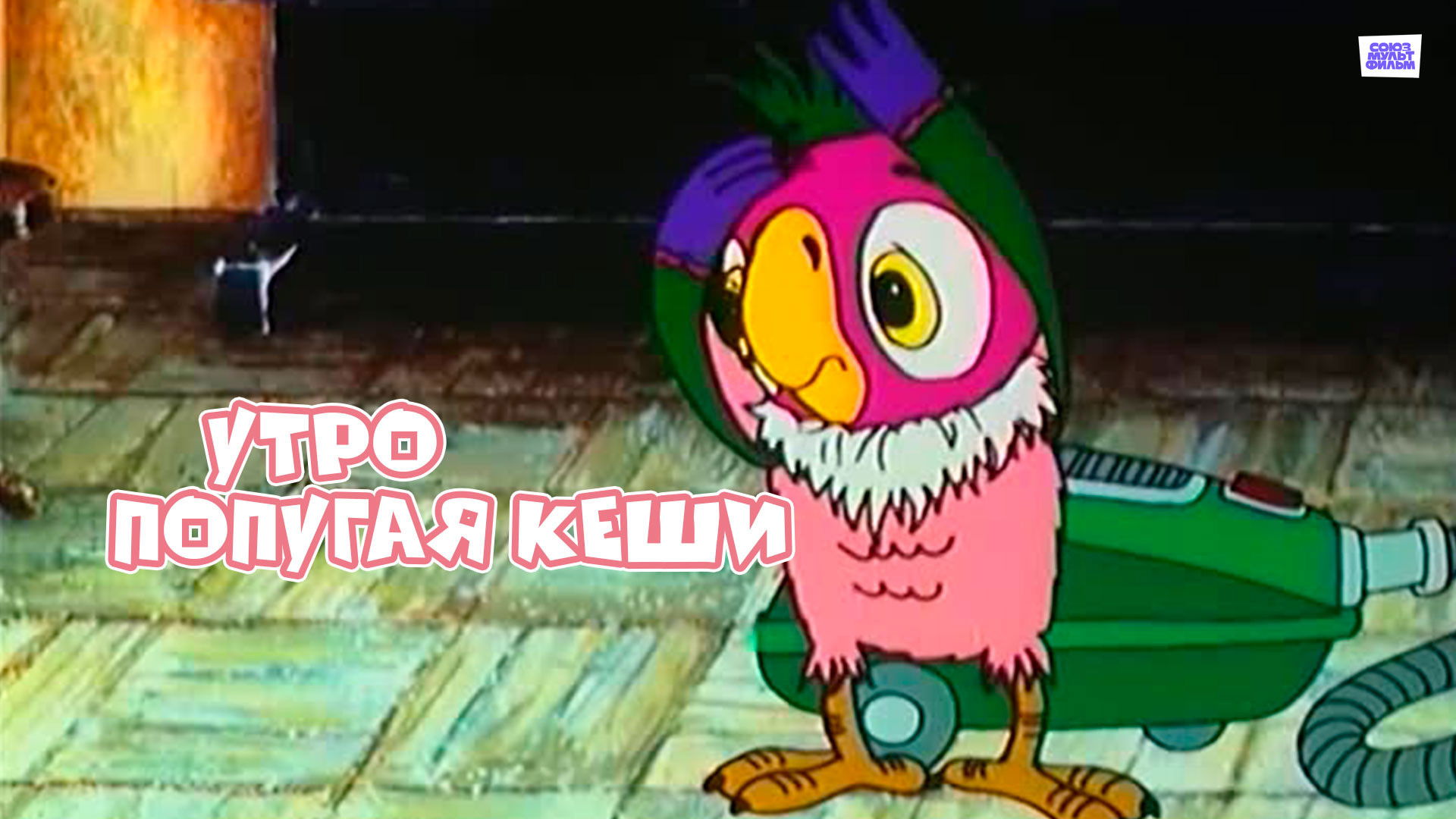 Dawn of Kesha the Parrot