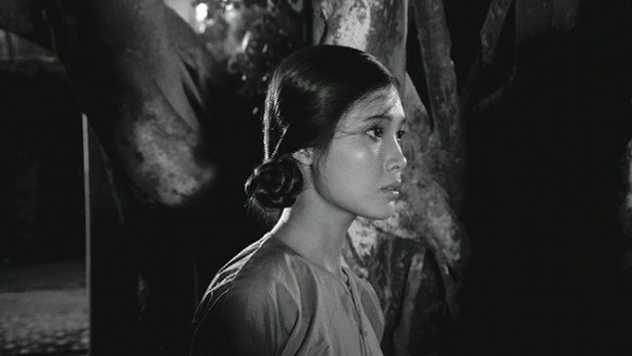 When the Tenth Month Comes