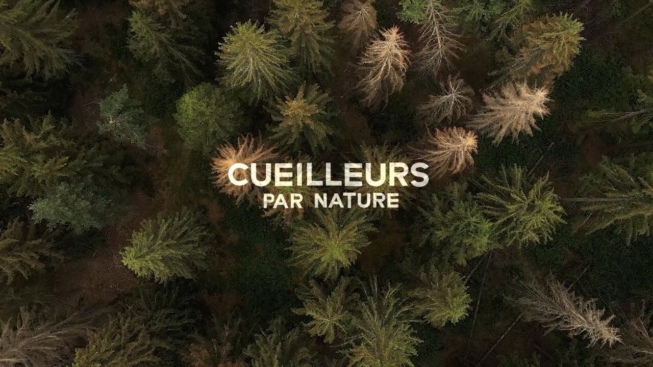 Cueilleurs par nature