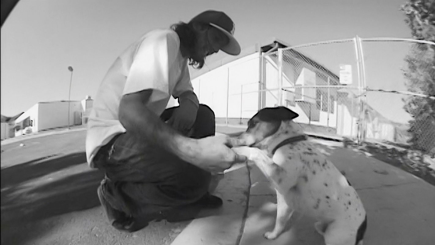 Mystery - Black & White