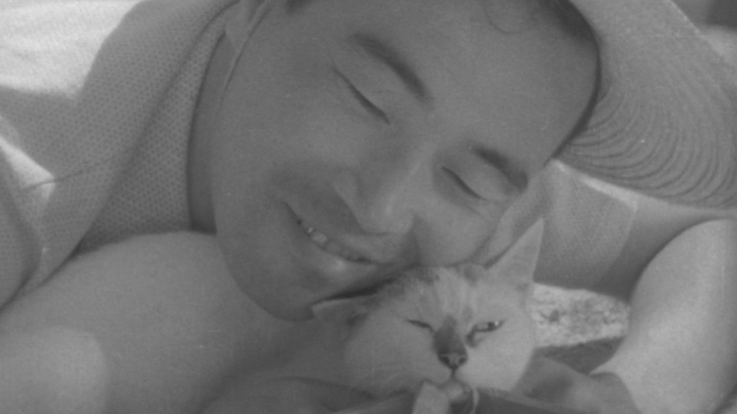 Shozo, a Cat and Two Women