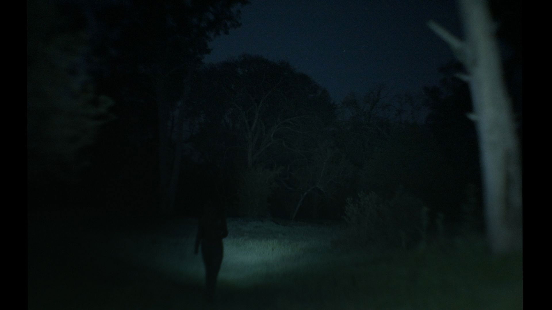 A veces pienso en volver