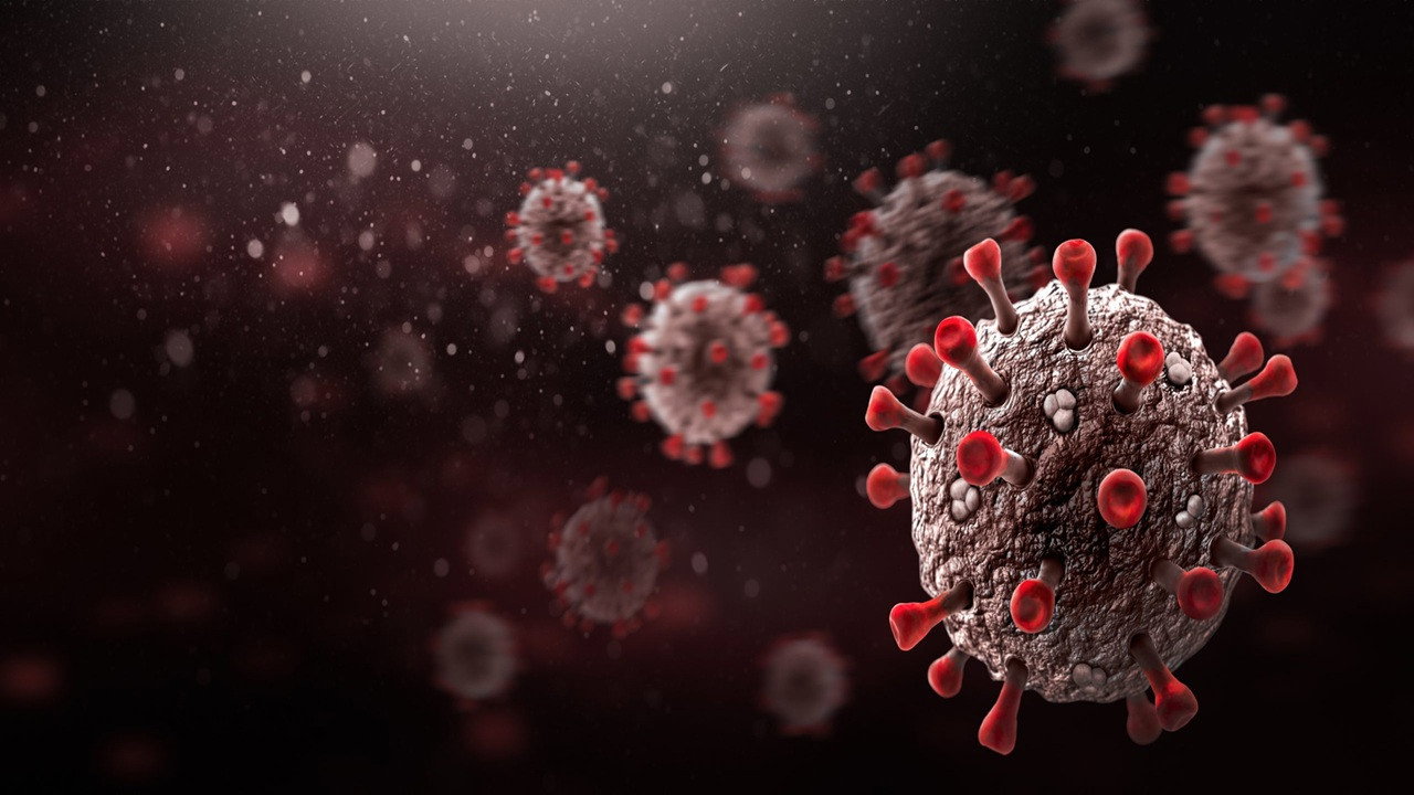 Covid-19 Outbreak: Minute by Minute