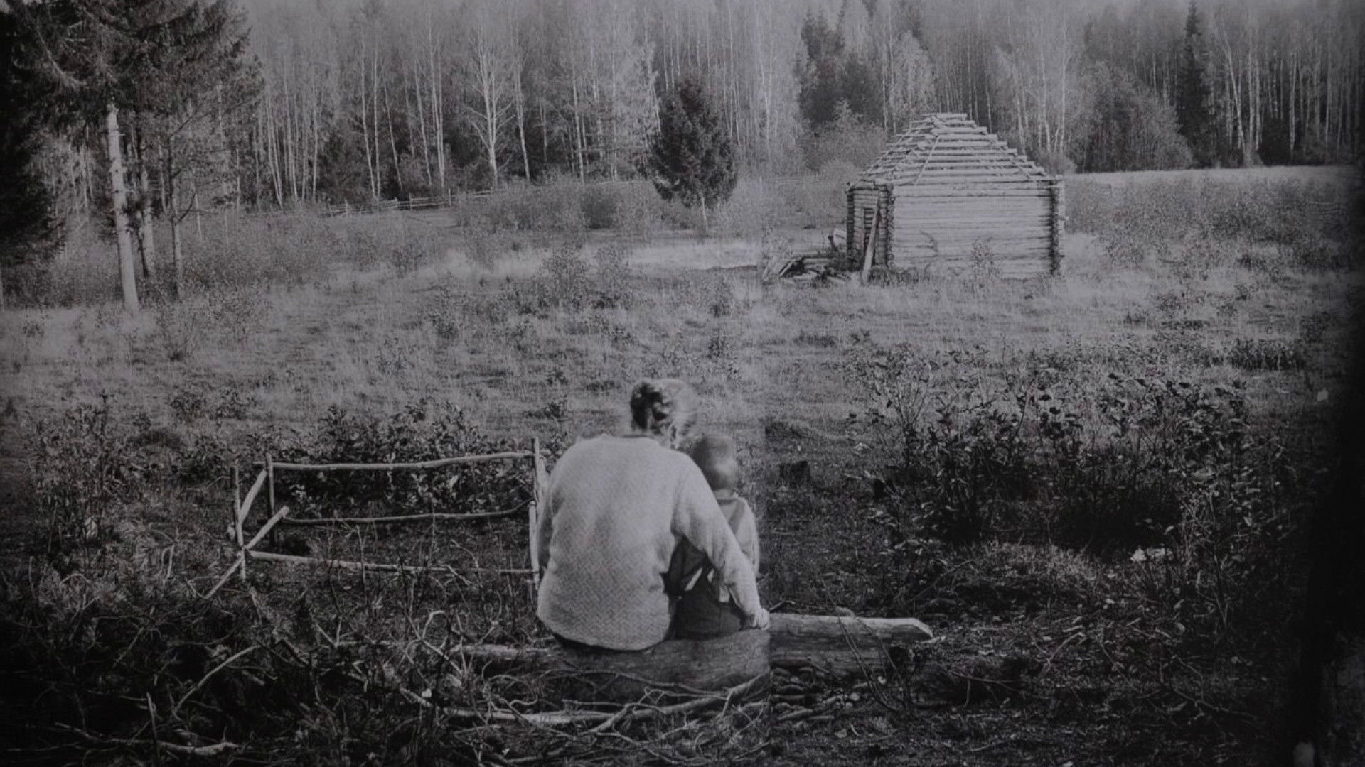 The Dream in the Mirror