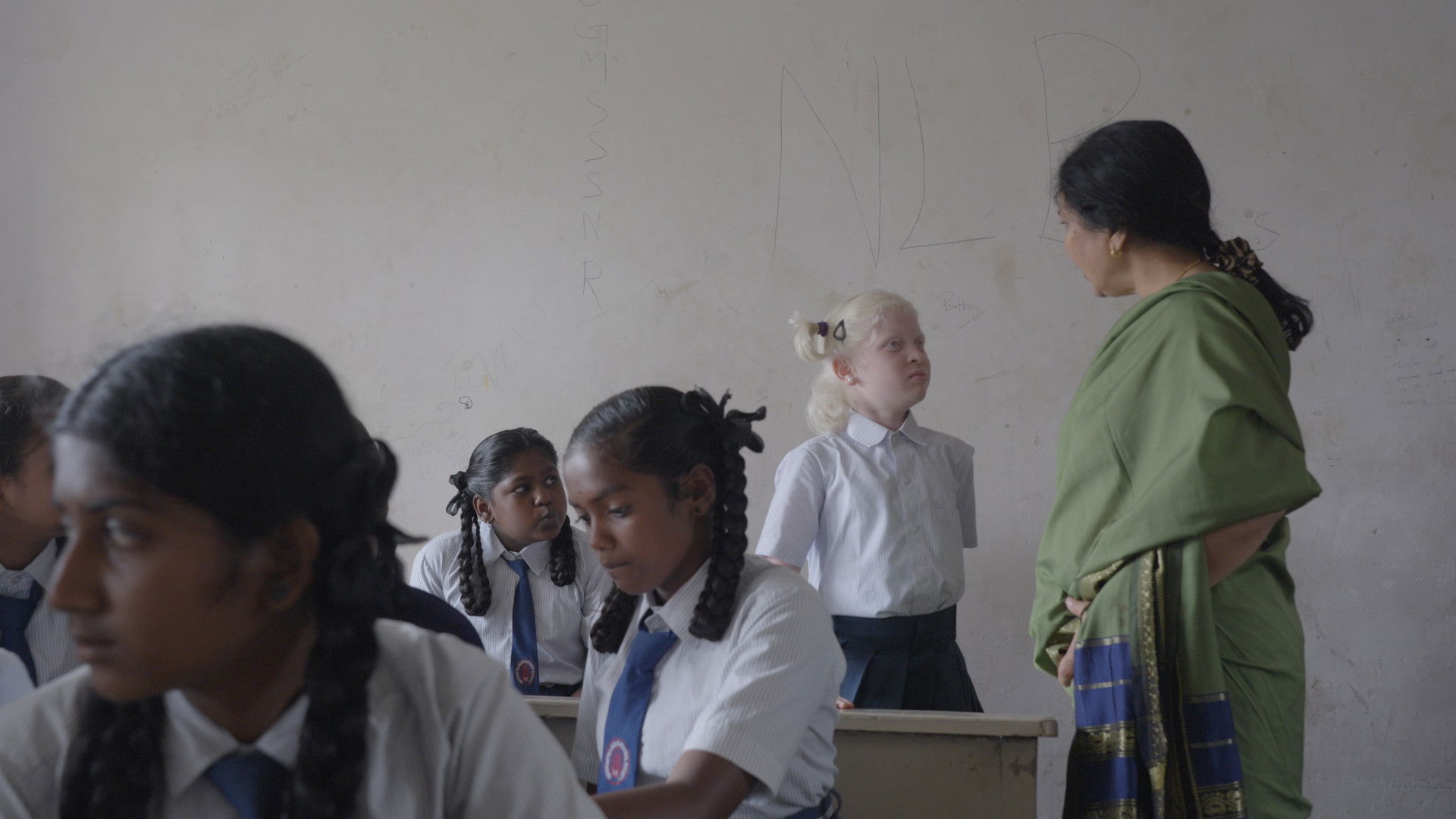 Bird of a Different Feather