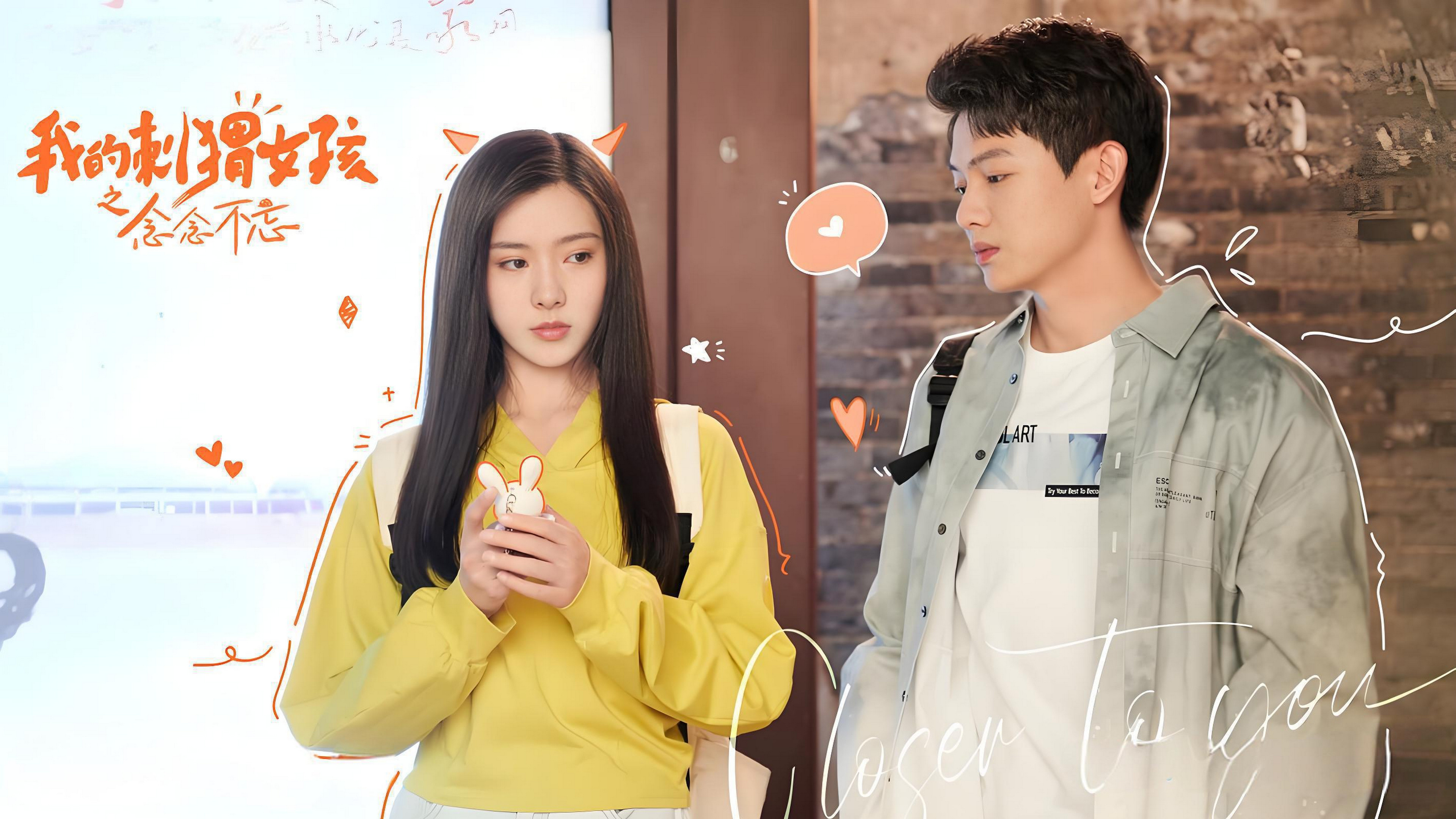 我的刺猬女孩之念念不忘