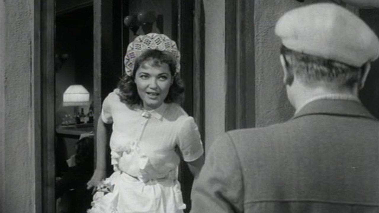 The Variegateds Case