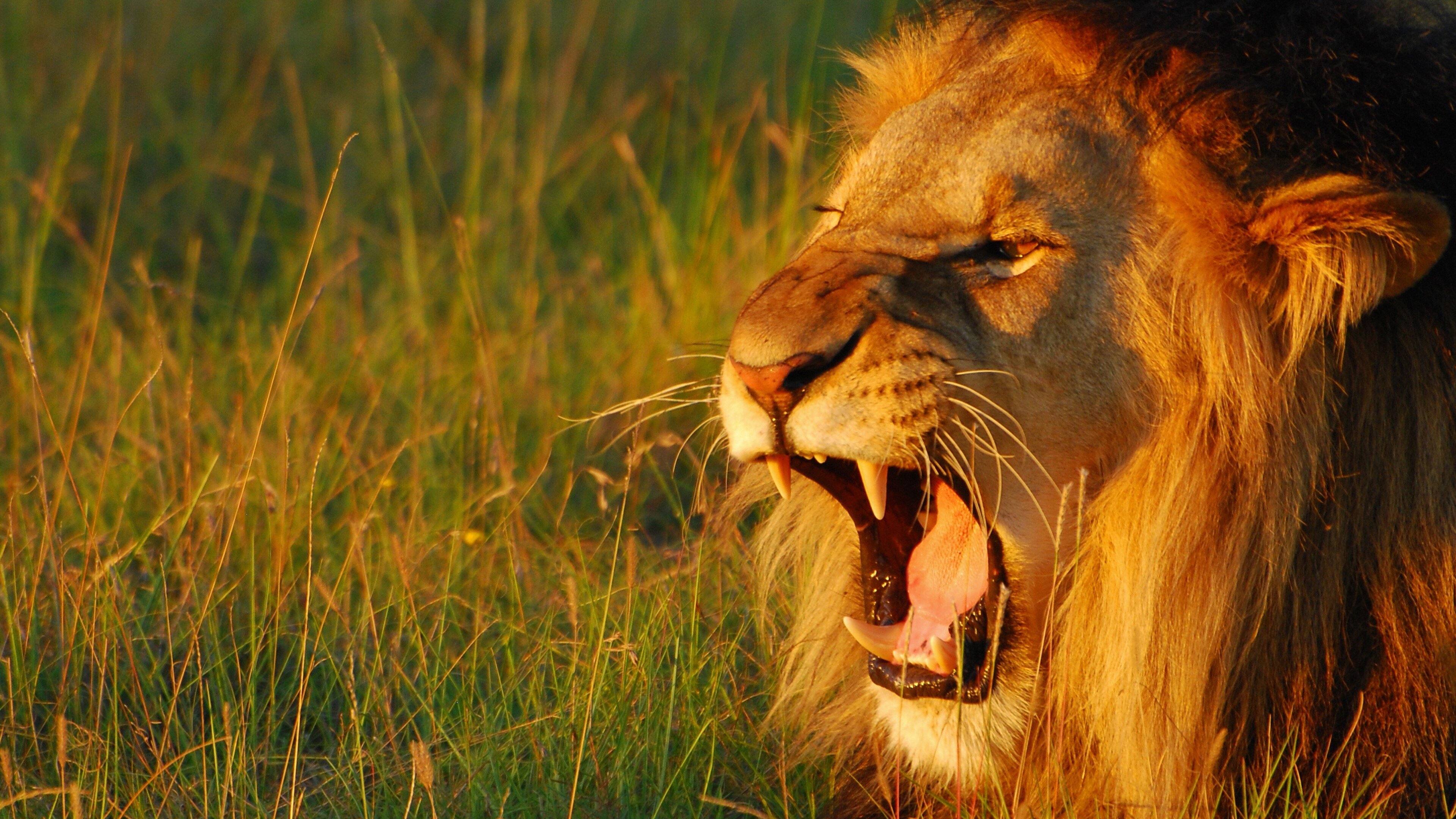 Secret World of Sound