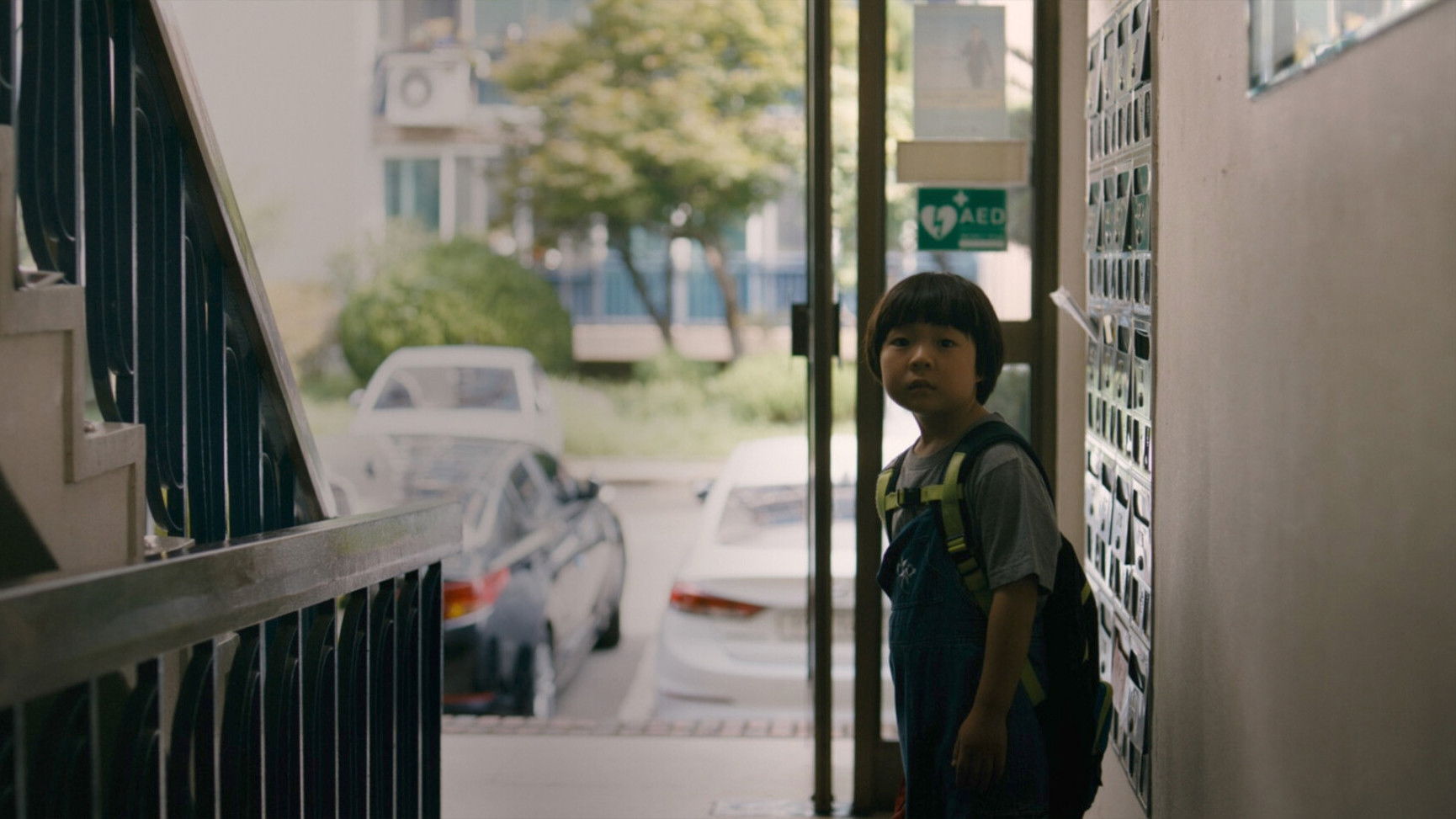 When Mushroom Blooms