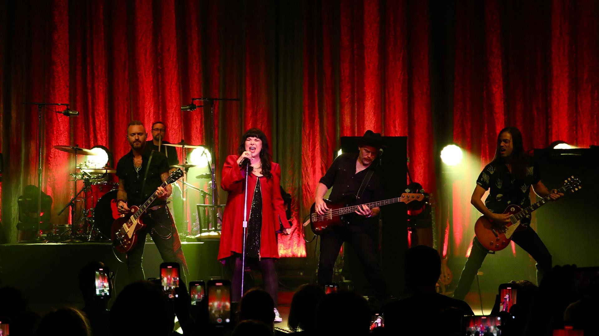 Ann Wilson & Tripsitter - Live in Concert