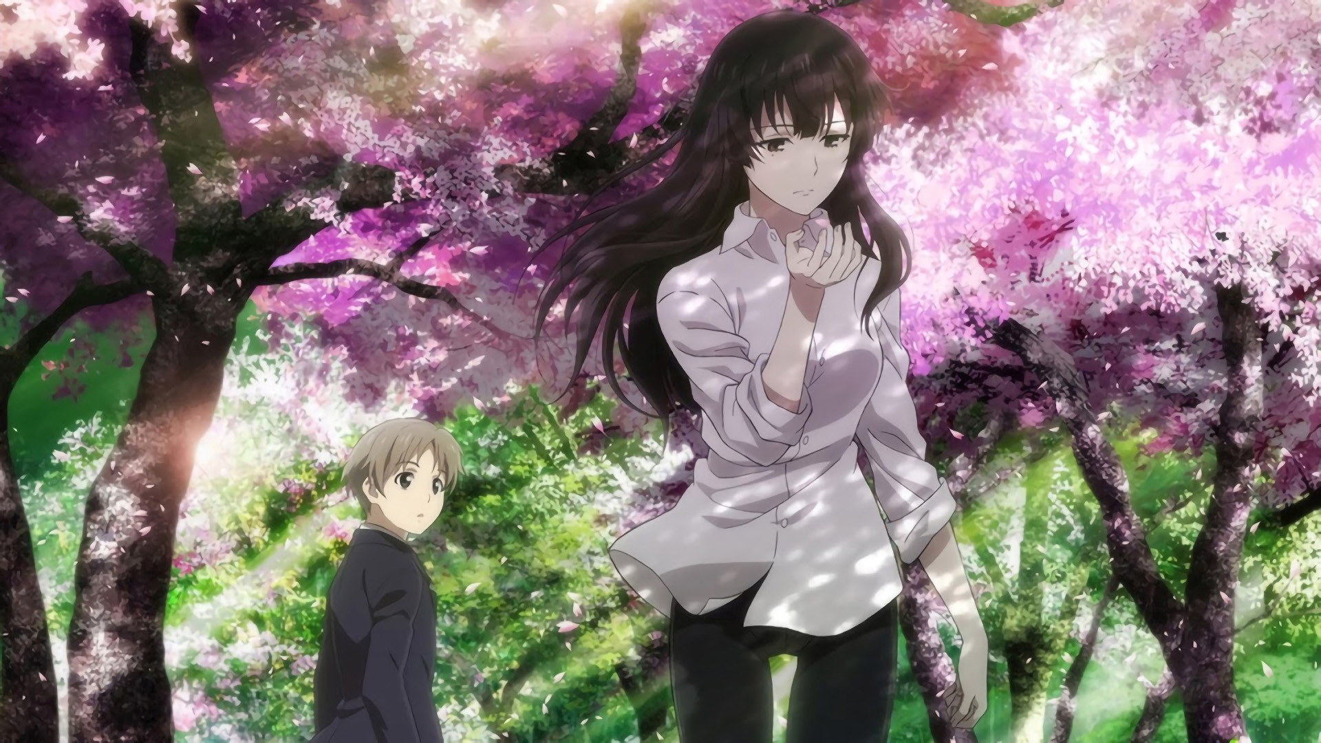 Beautiful Bones: Sakurako's Investigation