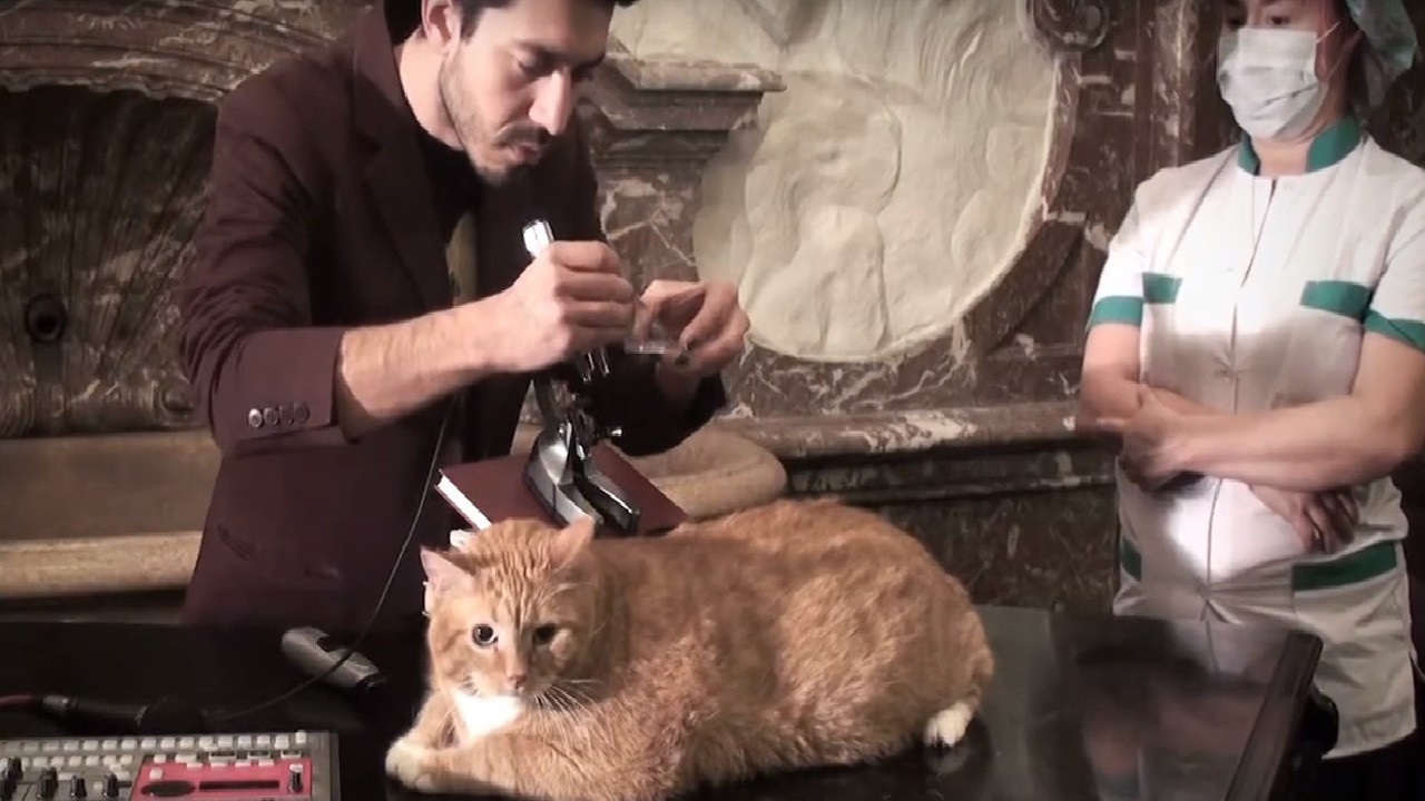 Metacinema appliqué