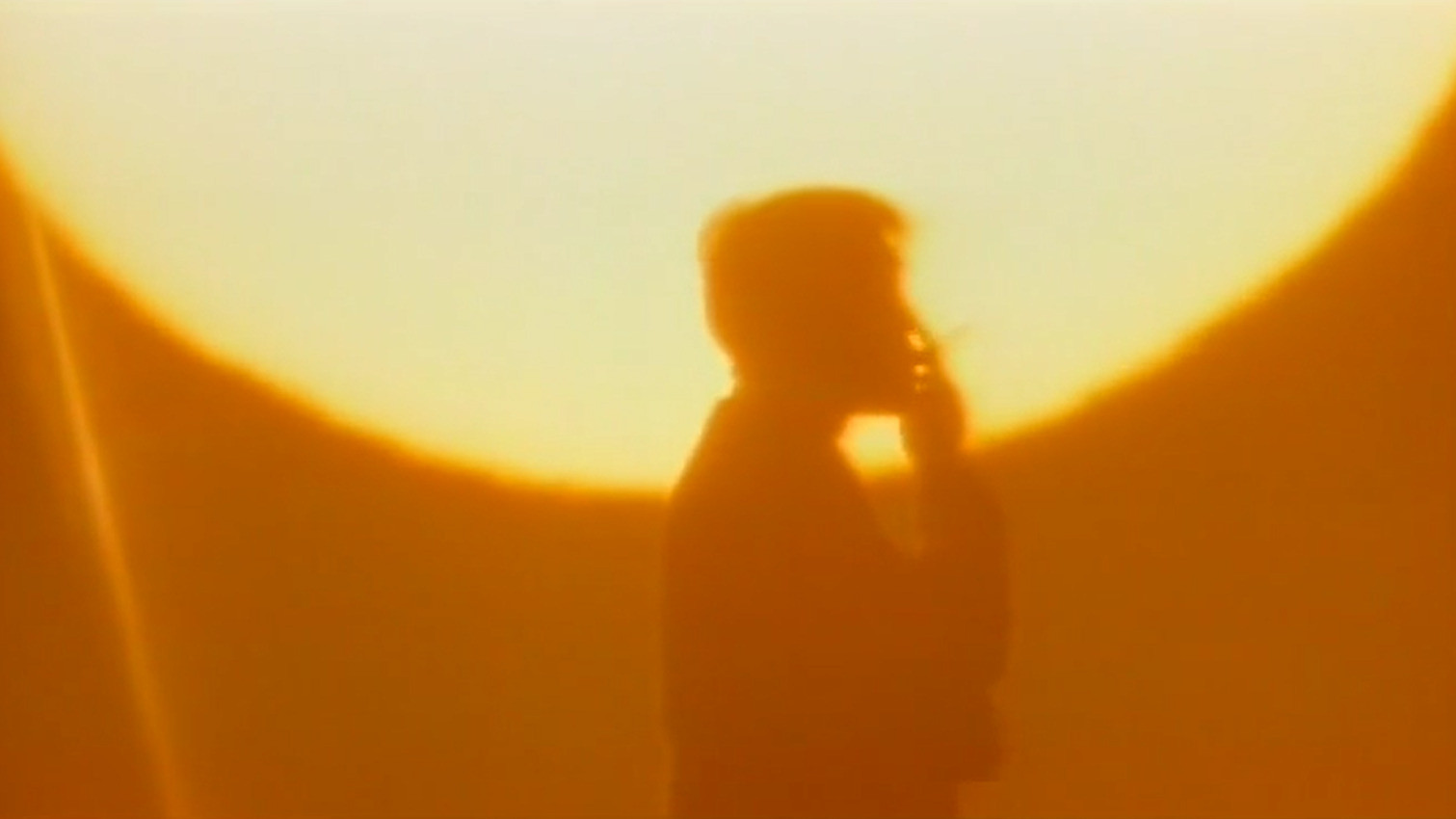 The Brutal Insanity of Love