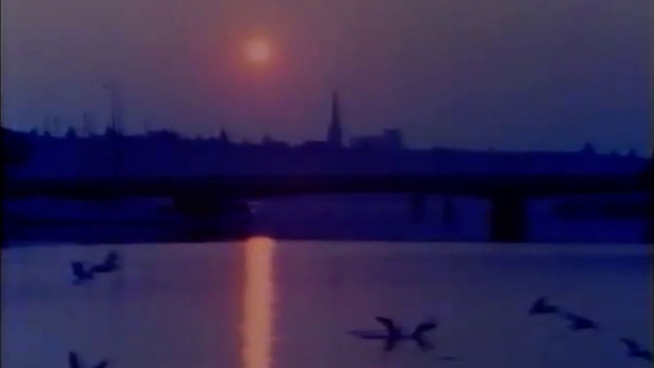 Portrait: A Film of Stockholm