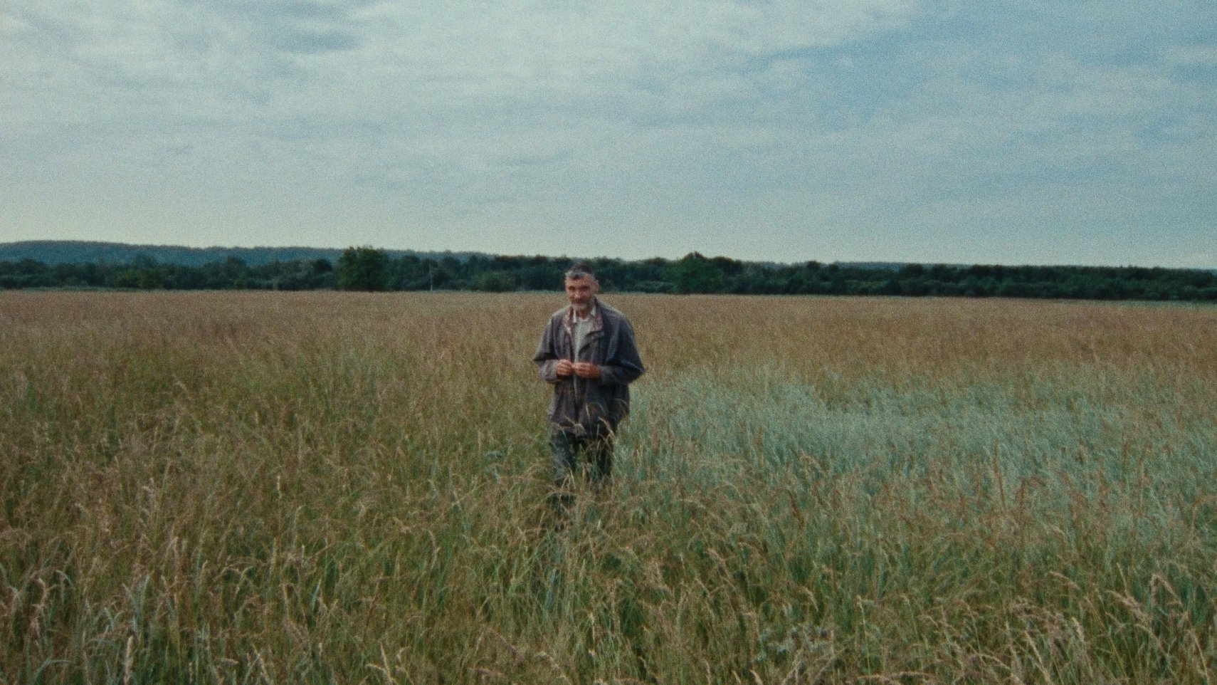 7 Walks with Mark Brown