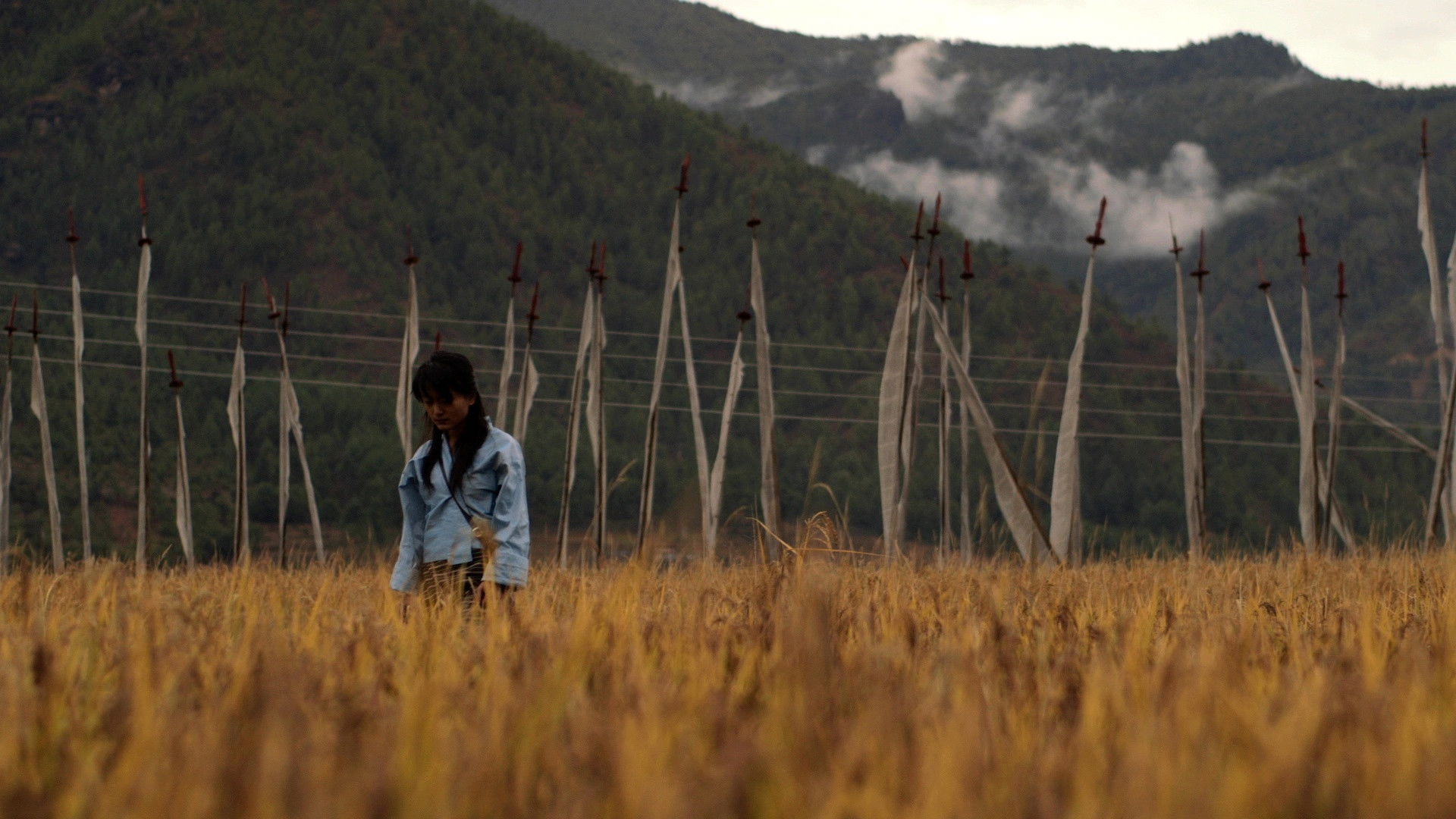 3 Year 3 Month Retreat