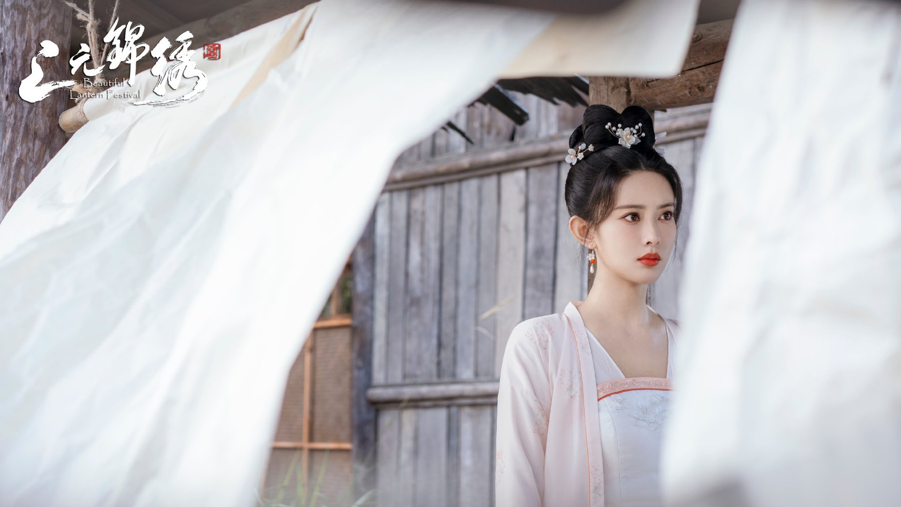 Beautiful Lantern Festival