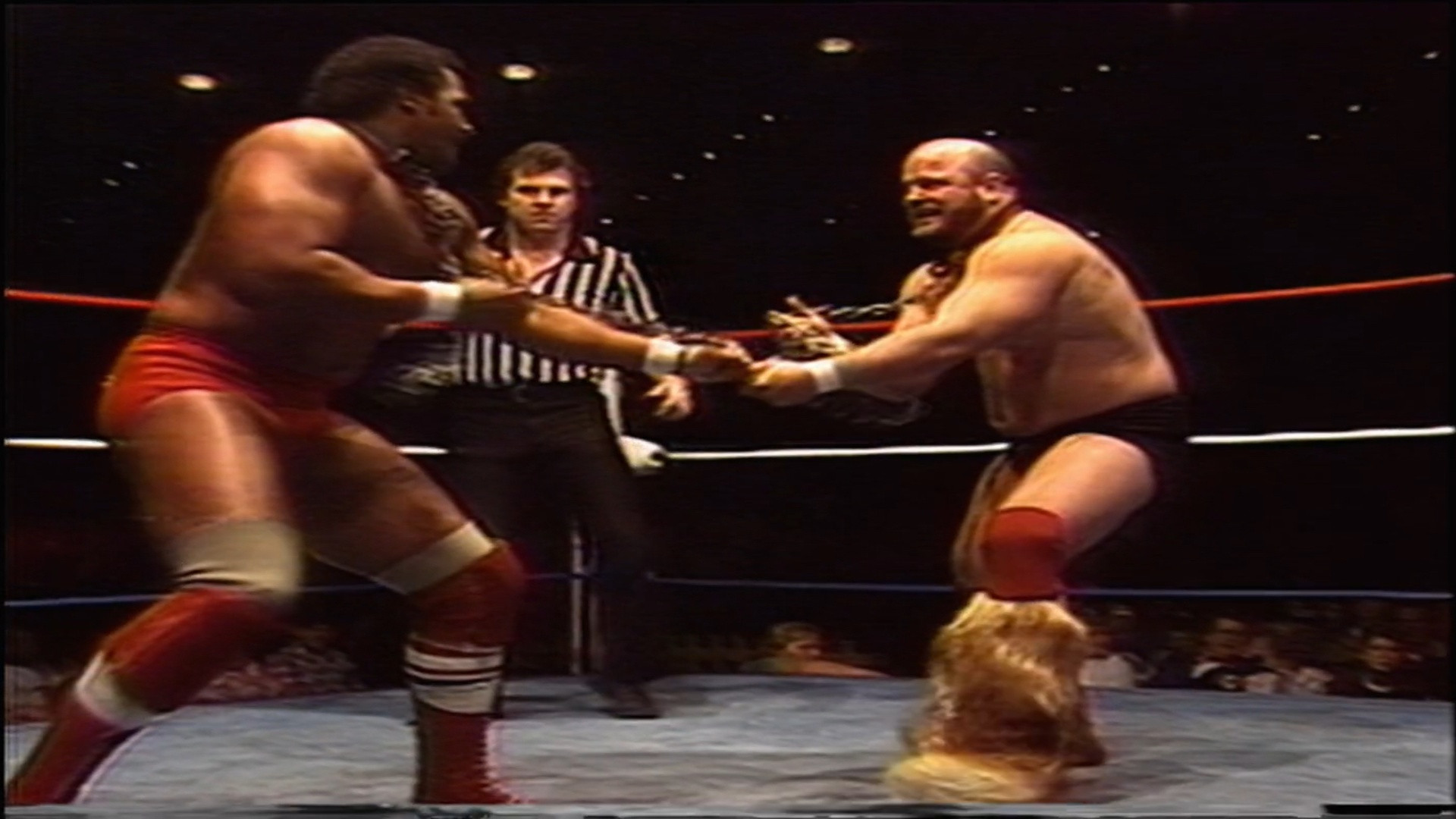 Mid-South Arena Shows