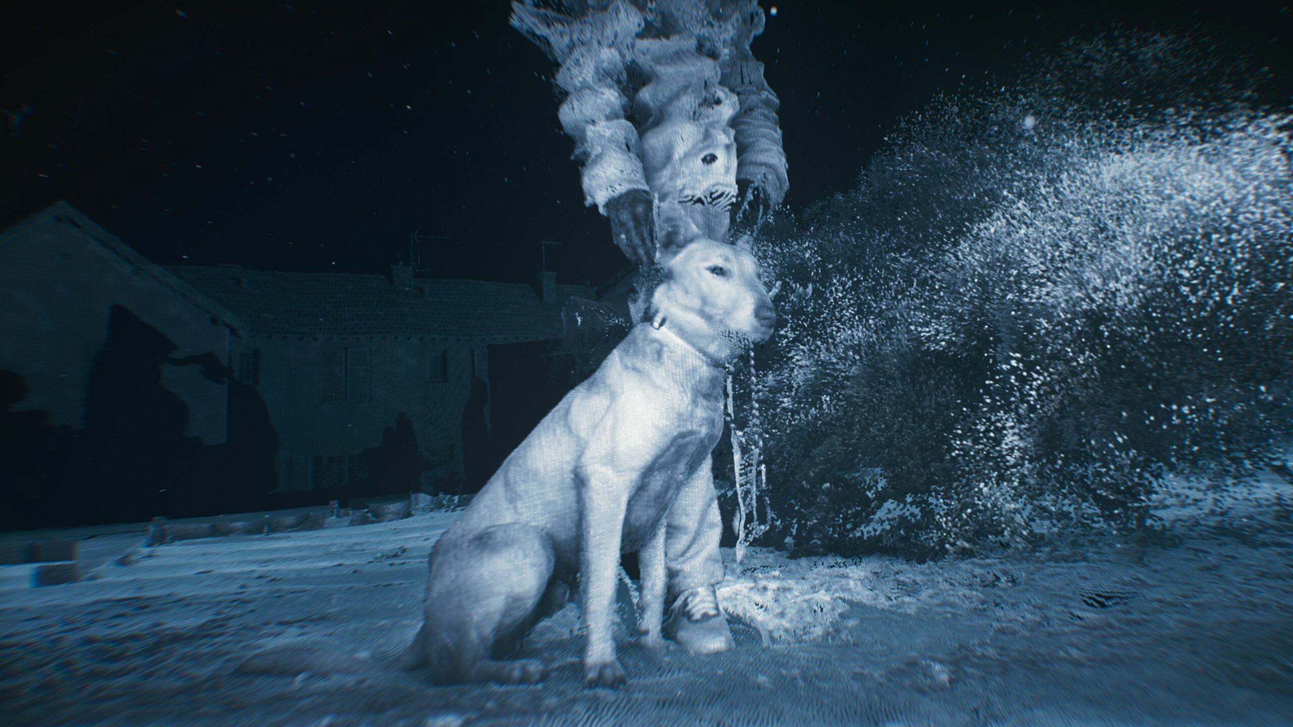 Genealogy of Violence