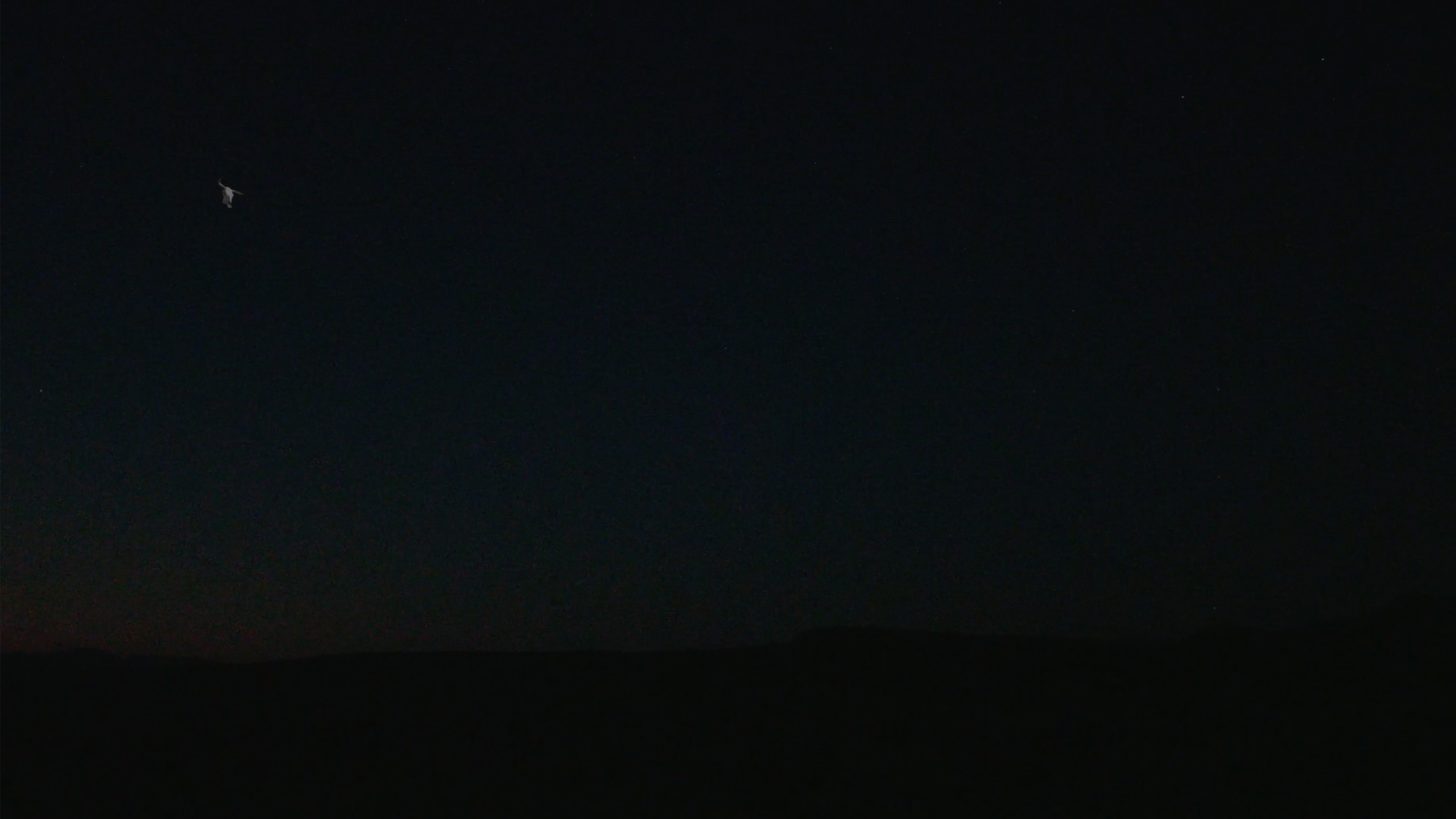 The Skull and the Arm