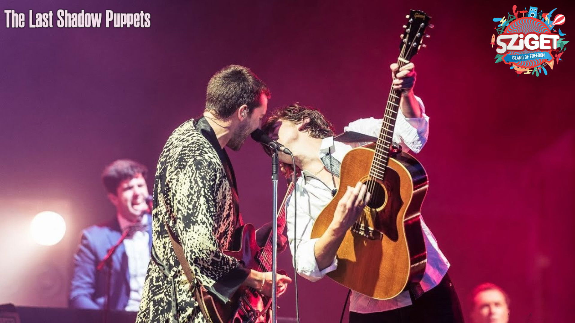 The Last Shadow Puppets at Sziget Festival