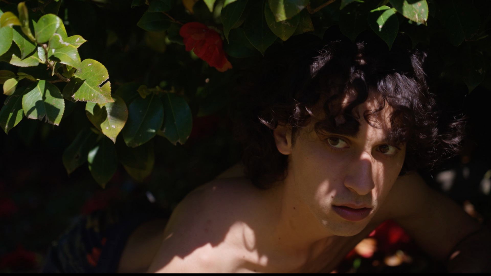 EDEN