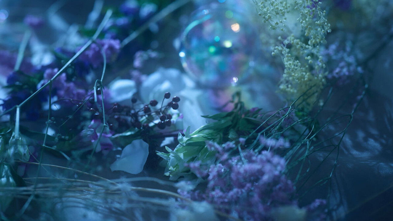 Touken Ranbu: The Musical - Higekiri Solo Performance ～Fleeting Dreams～