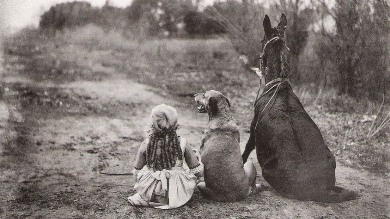 Through the Back Door