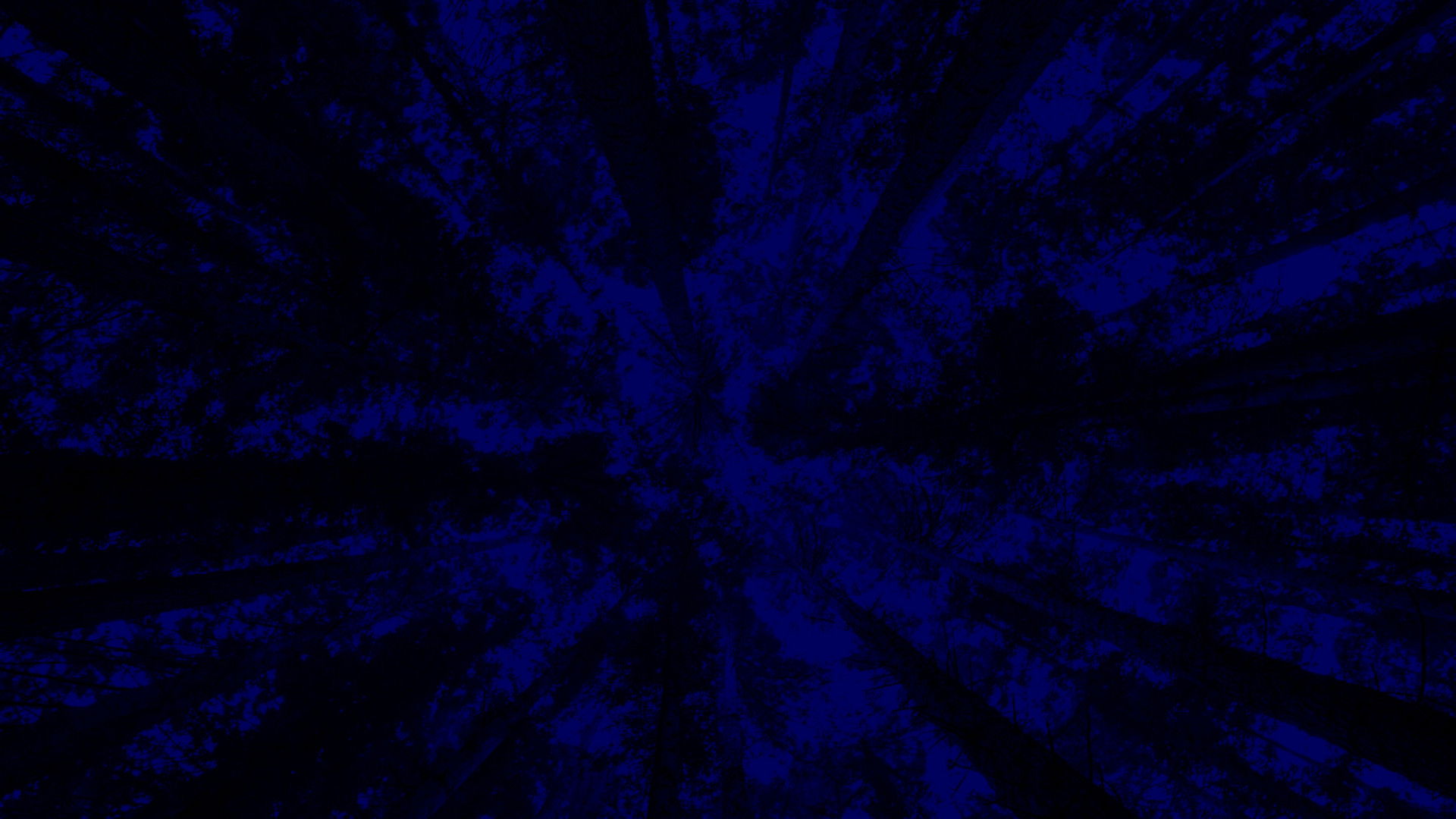 New York City Opera: A Little Night Music