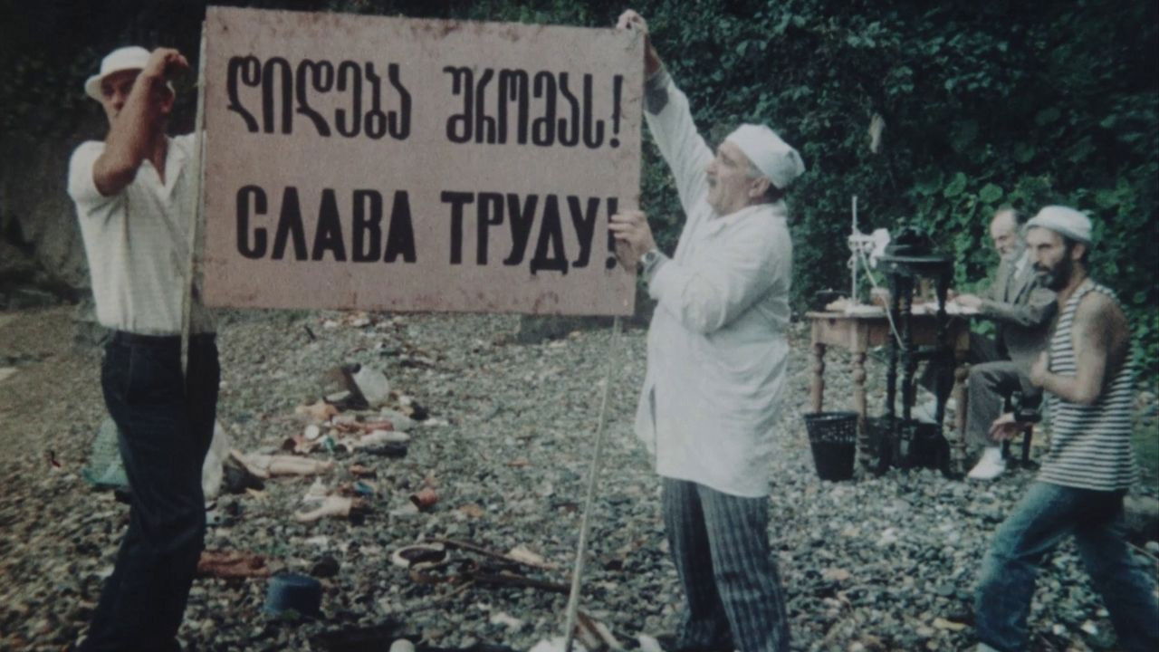 Swallows and Sparrows