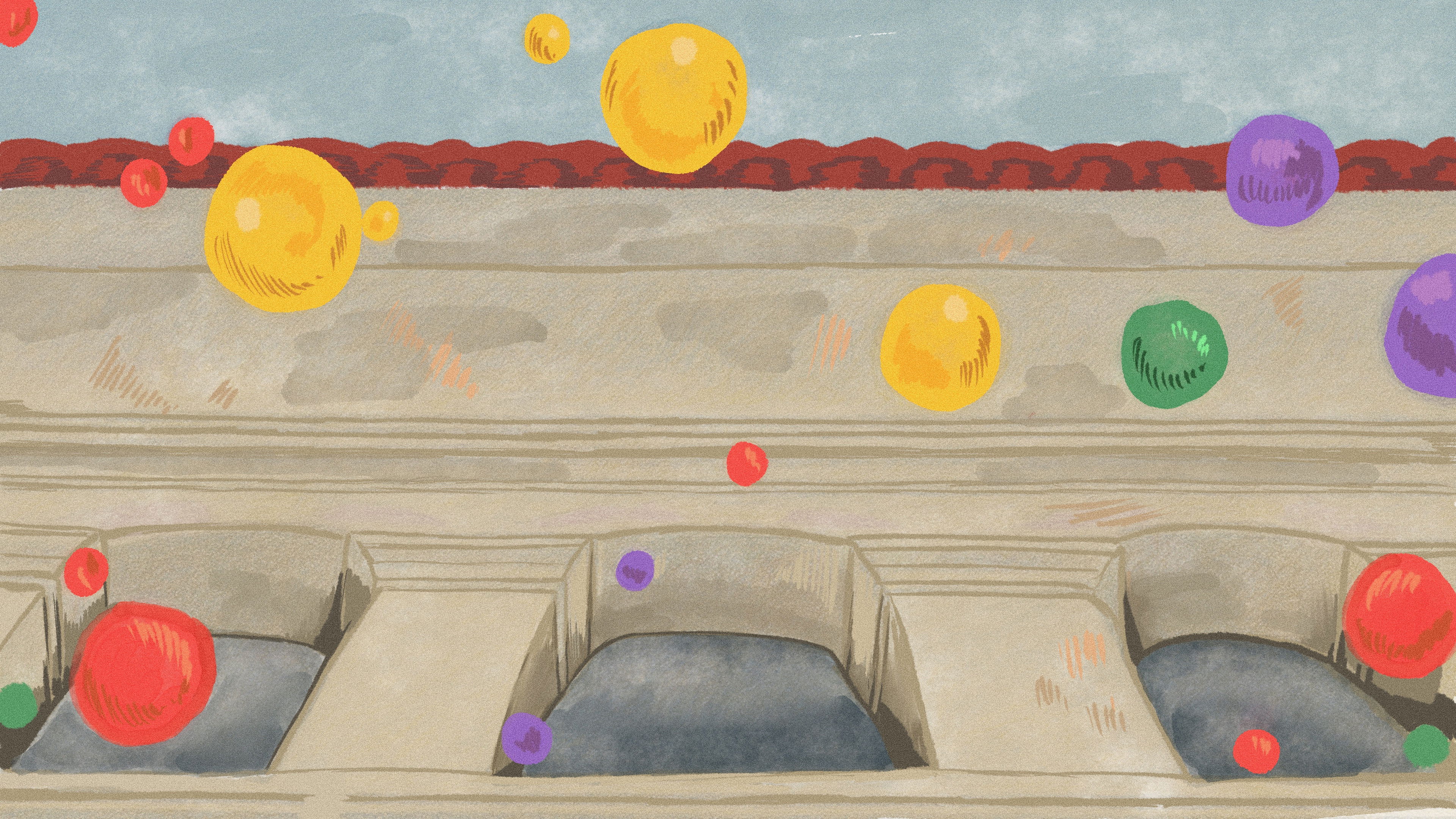 The Teeth Brotherhood