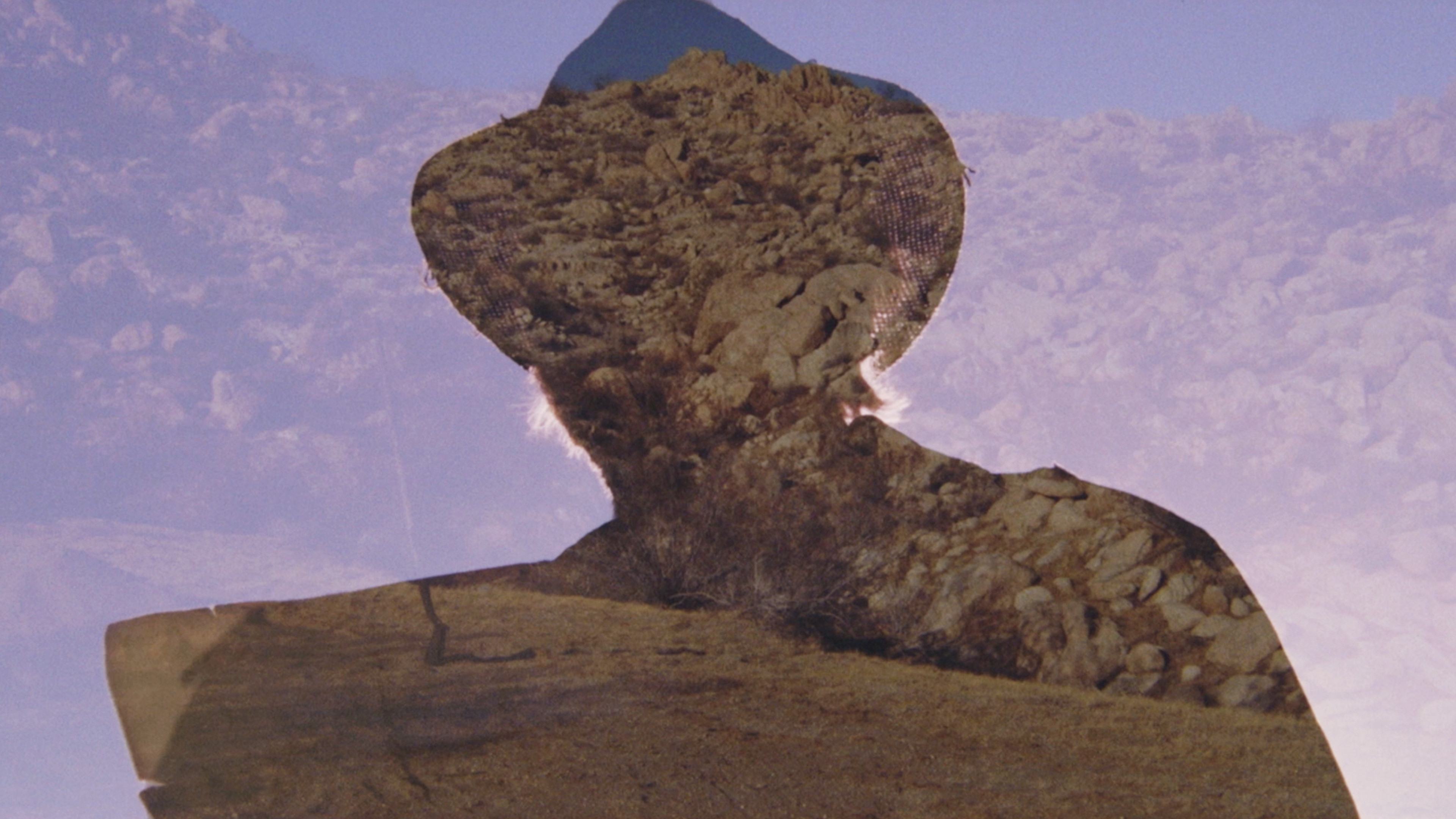 Prisoner of the Desert