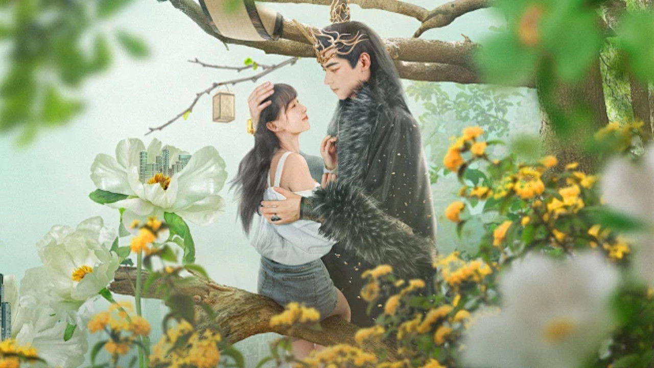 别走好吗别西君