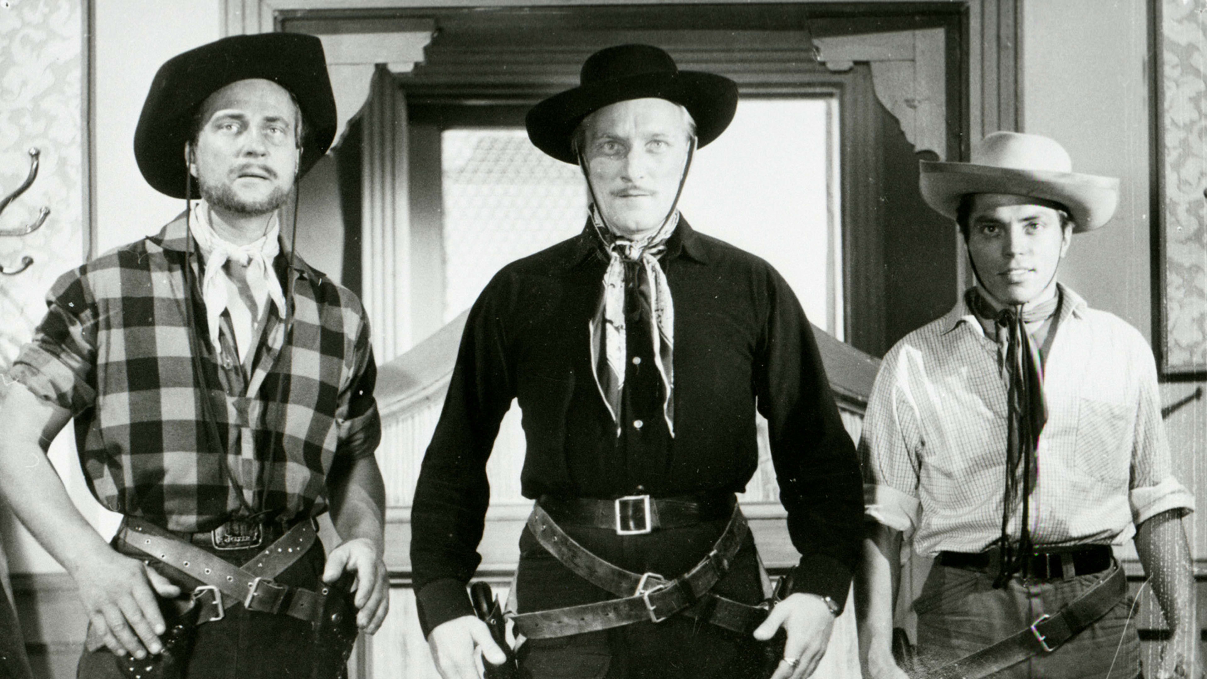 Villin Pohjolan kulta