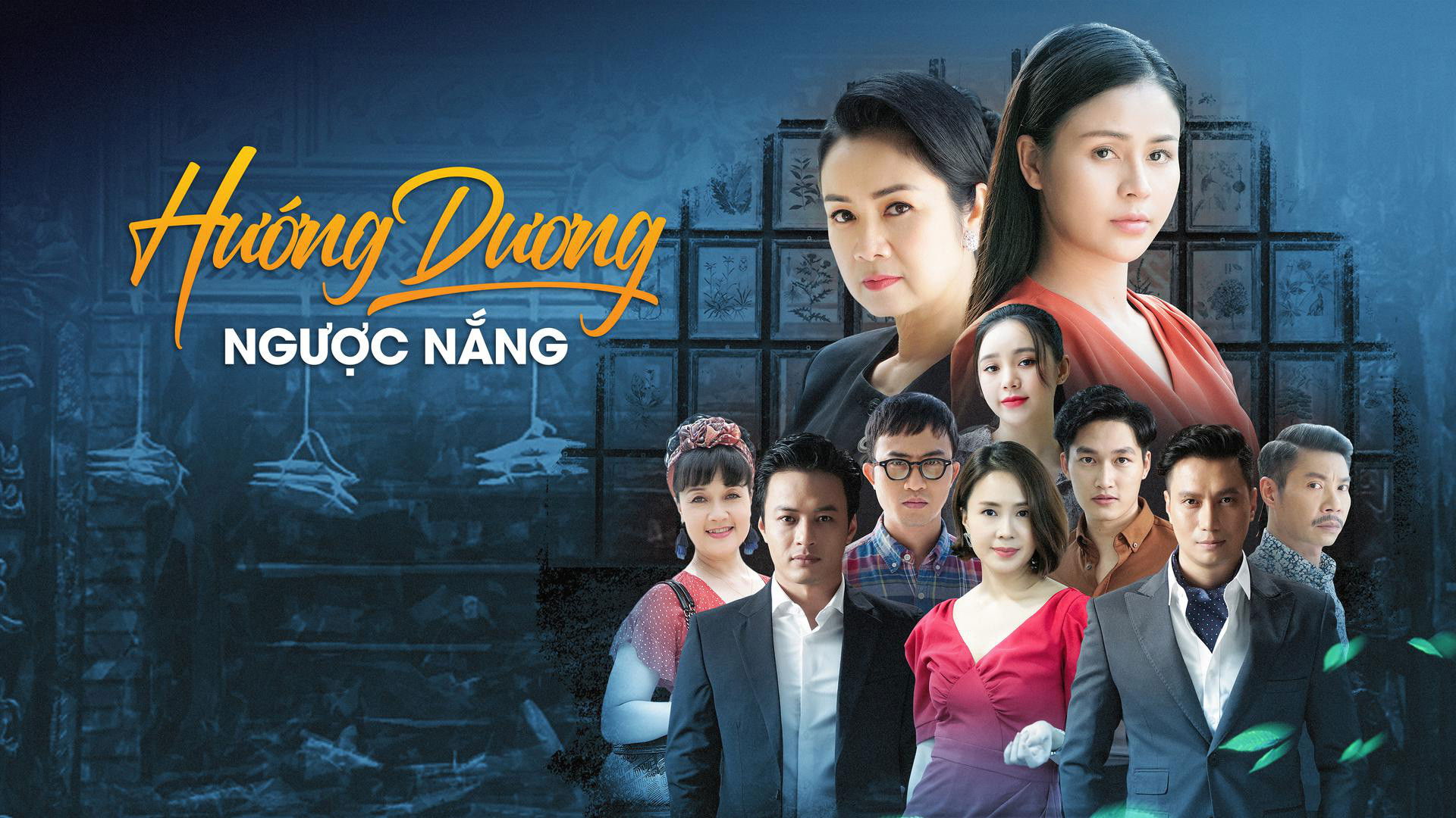 Hướng dương ngược nắng