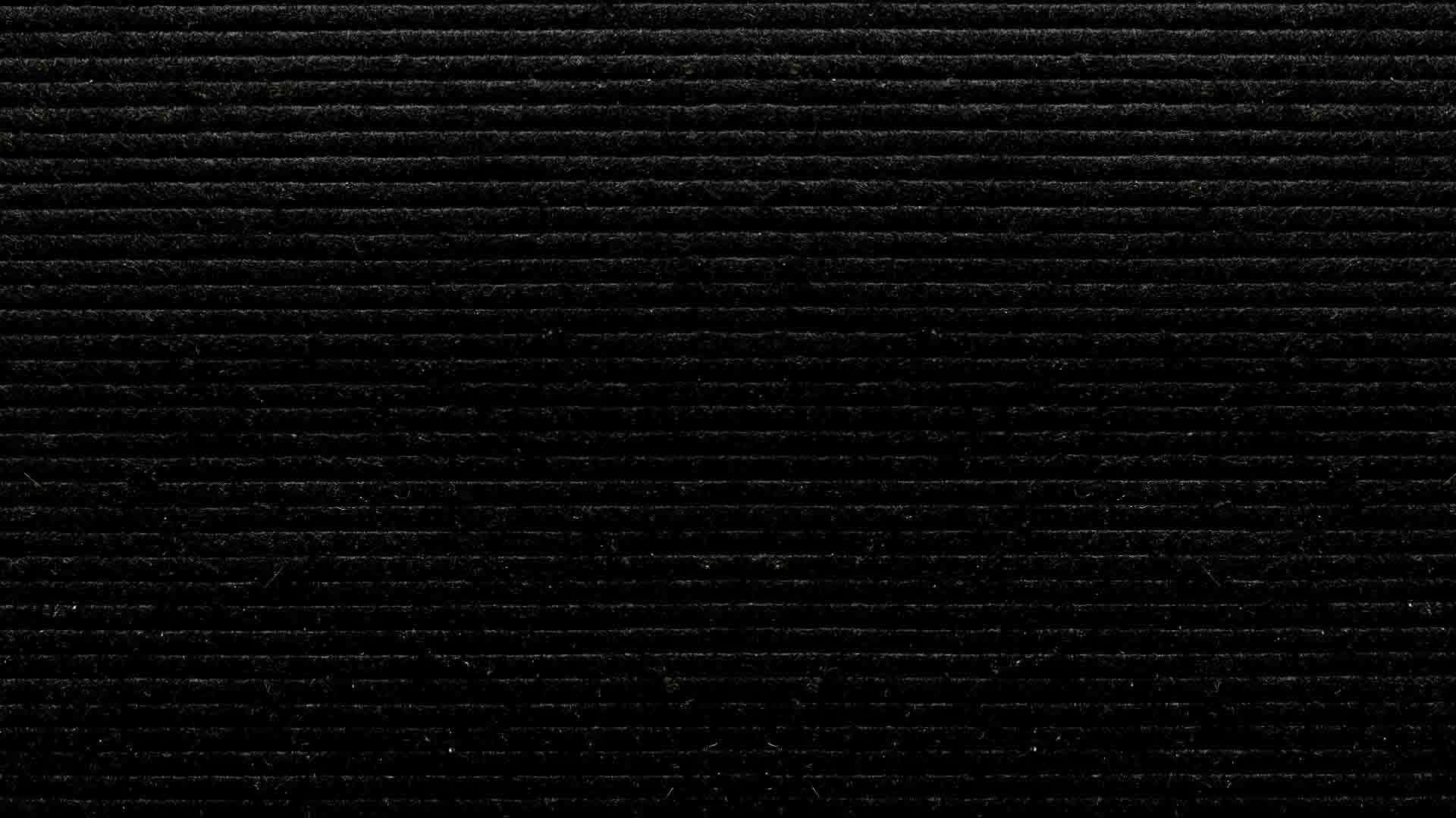 Celebrity Substitute