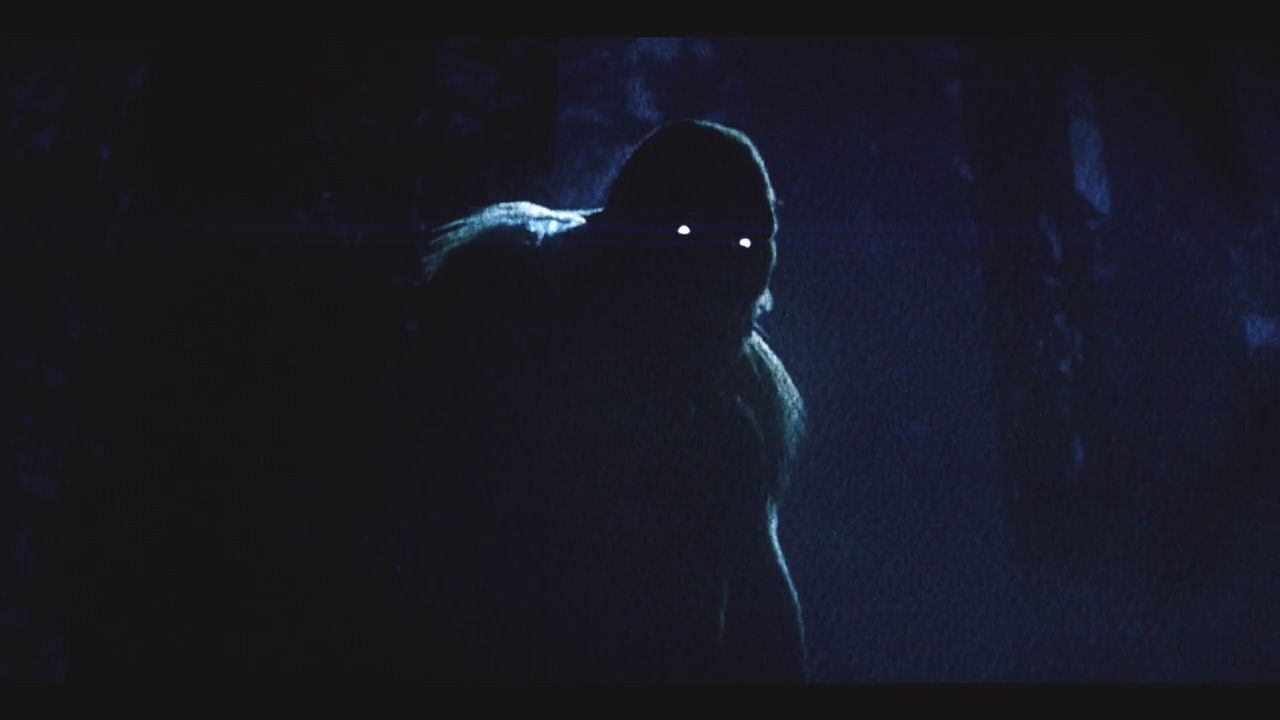 On the Trail of Bigfoot:  Land of the Missing