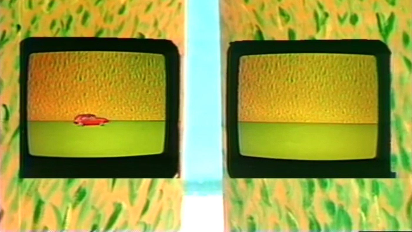 Videoflashs