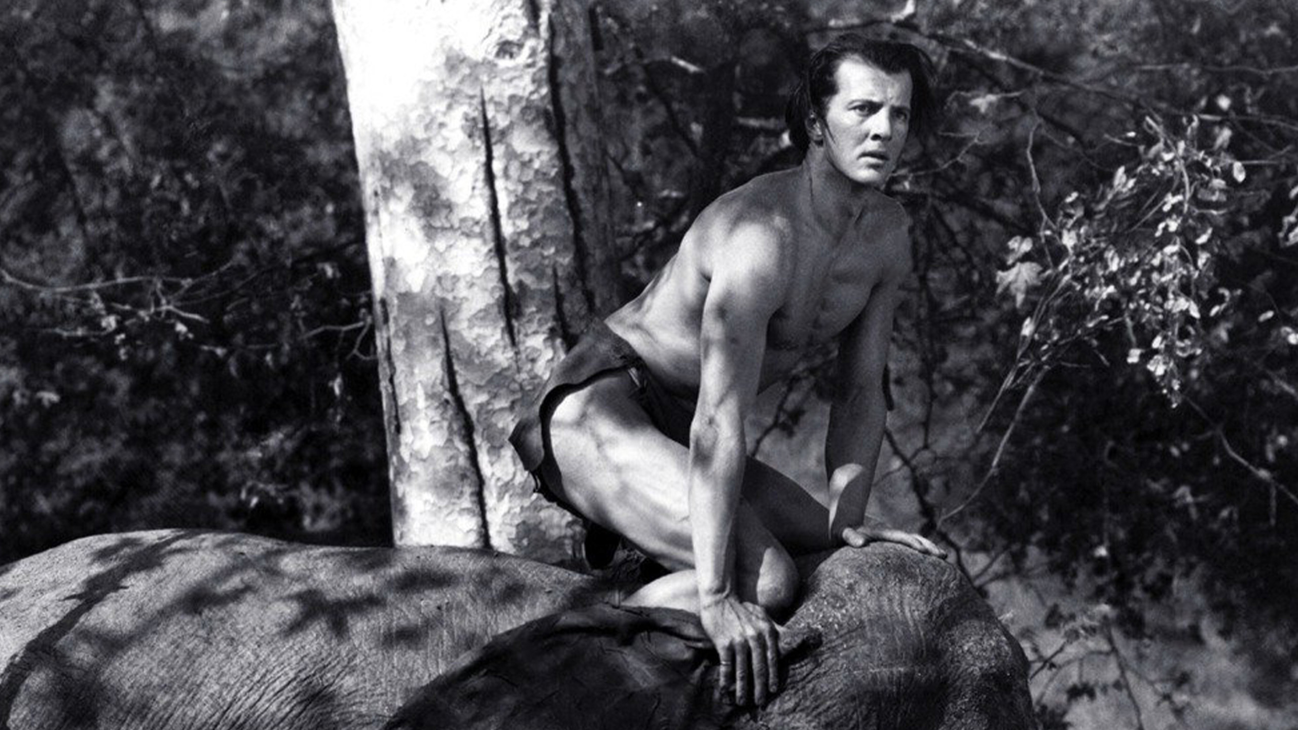 Tarzan and the Green Goddess