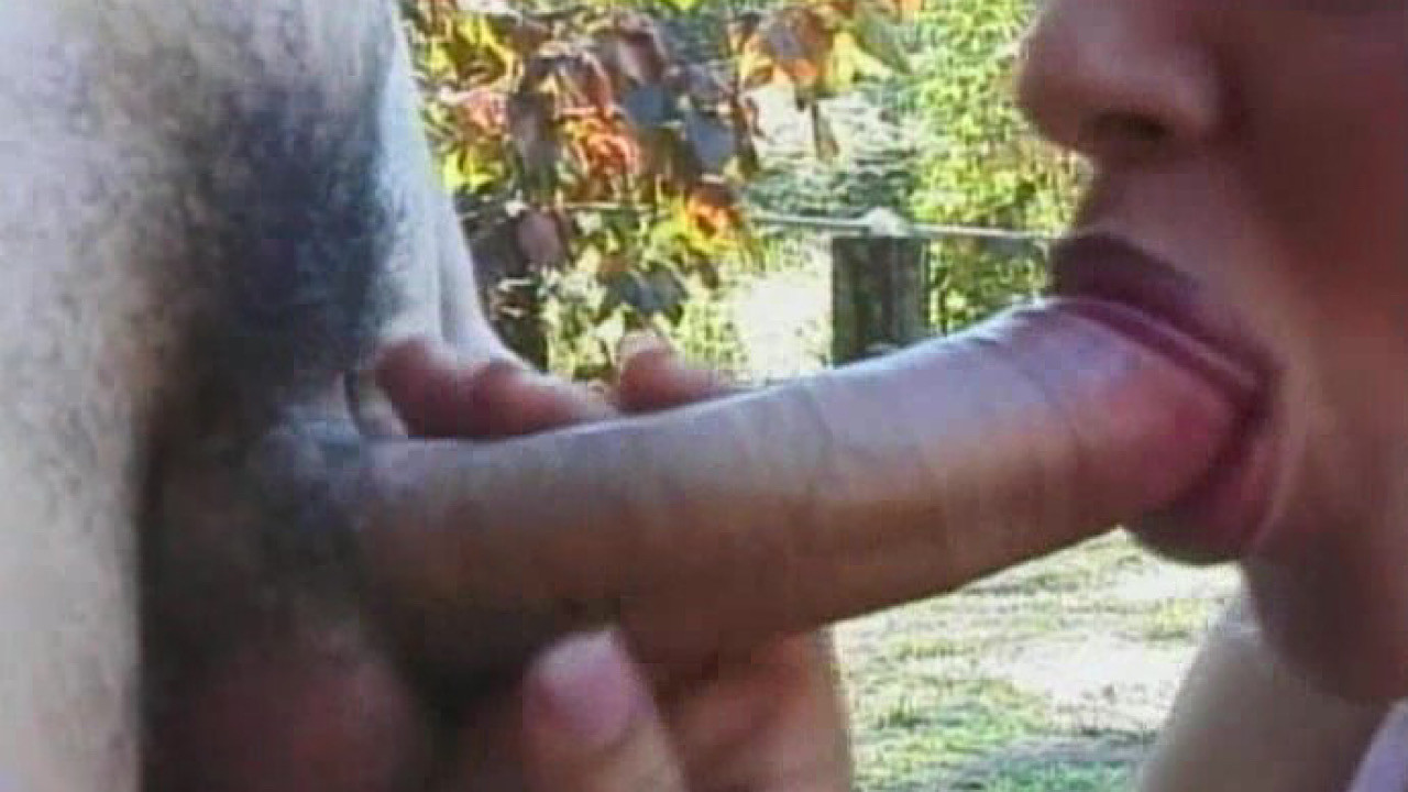 Young Tender Trannies 22