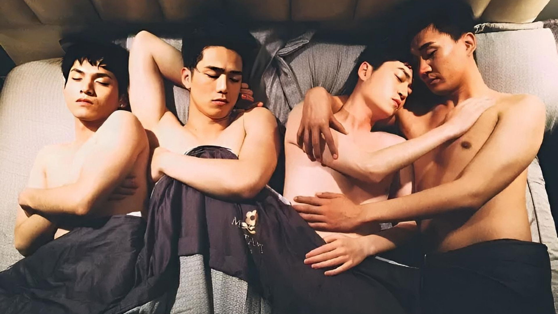 Customized Companion