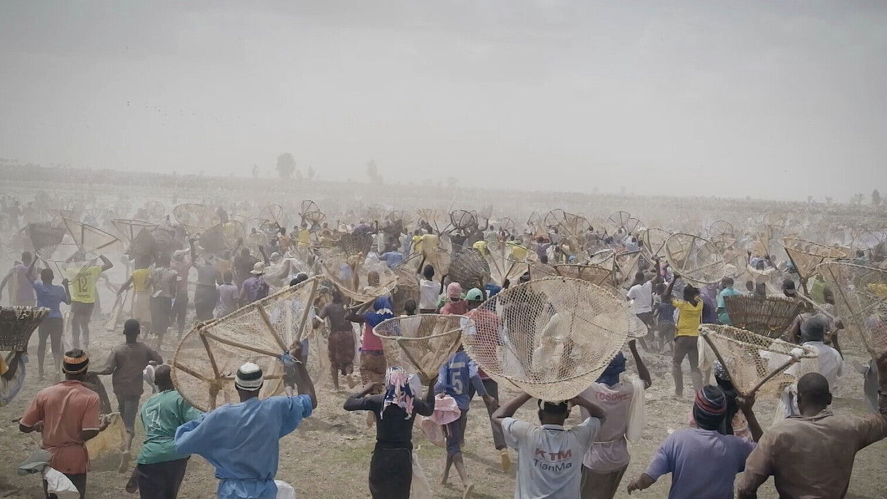 I bɔyɔrɔ, d’où viens-tu ?