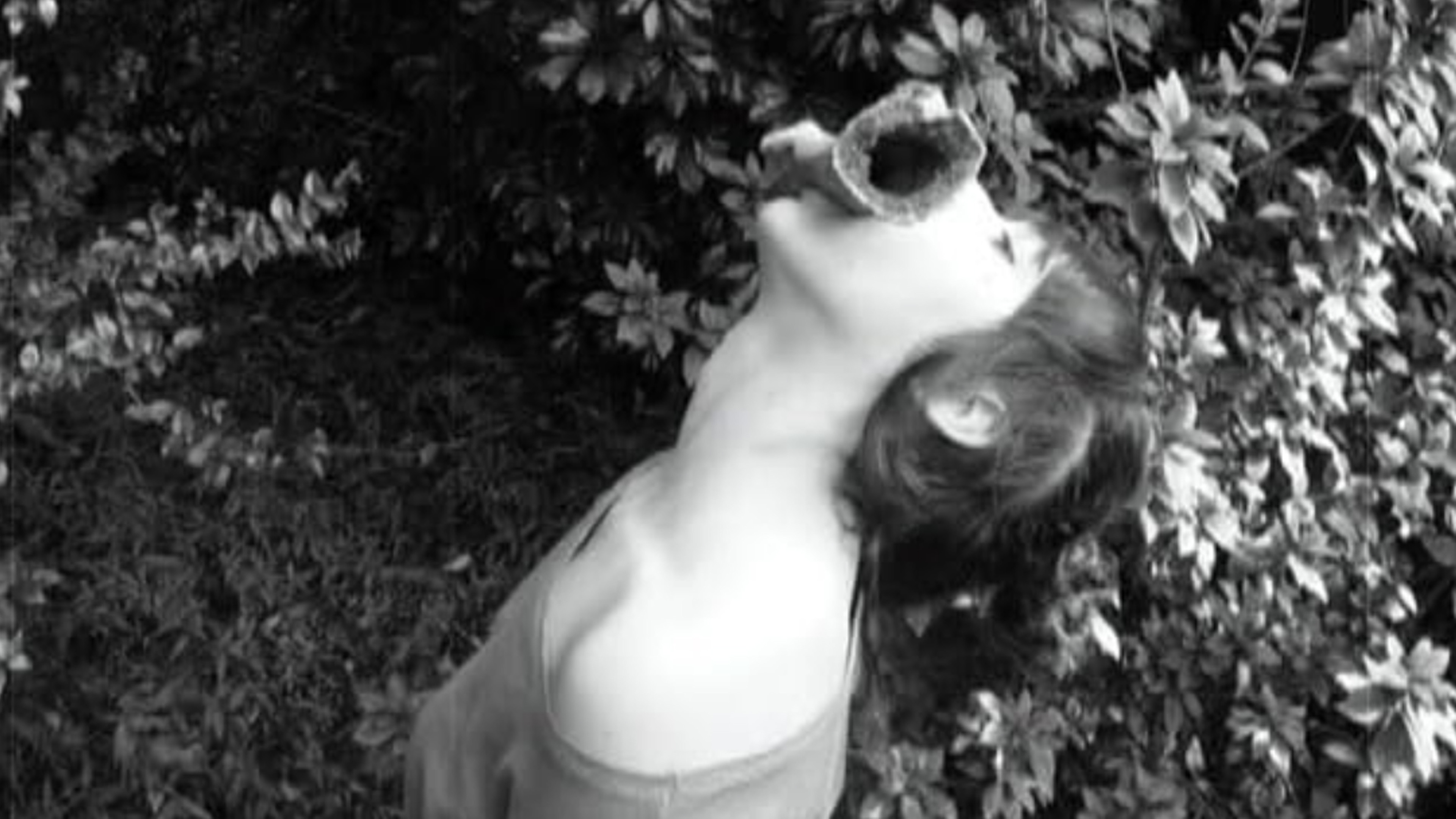 How to Irritate Hardcore Dandies