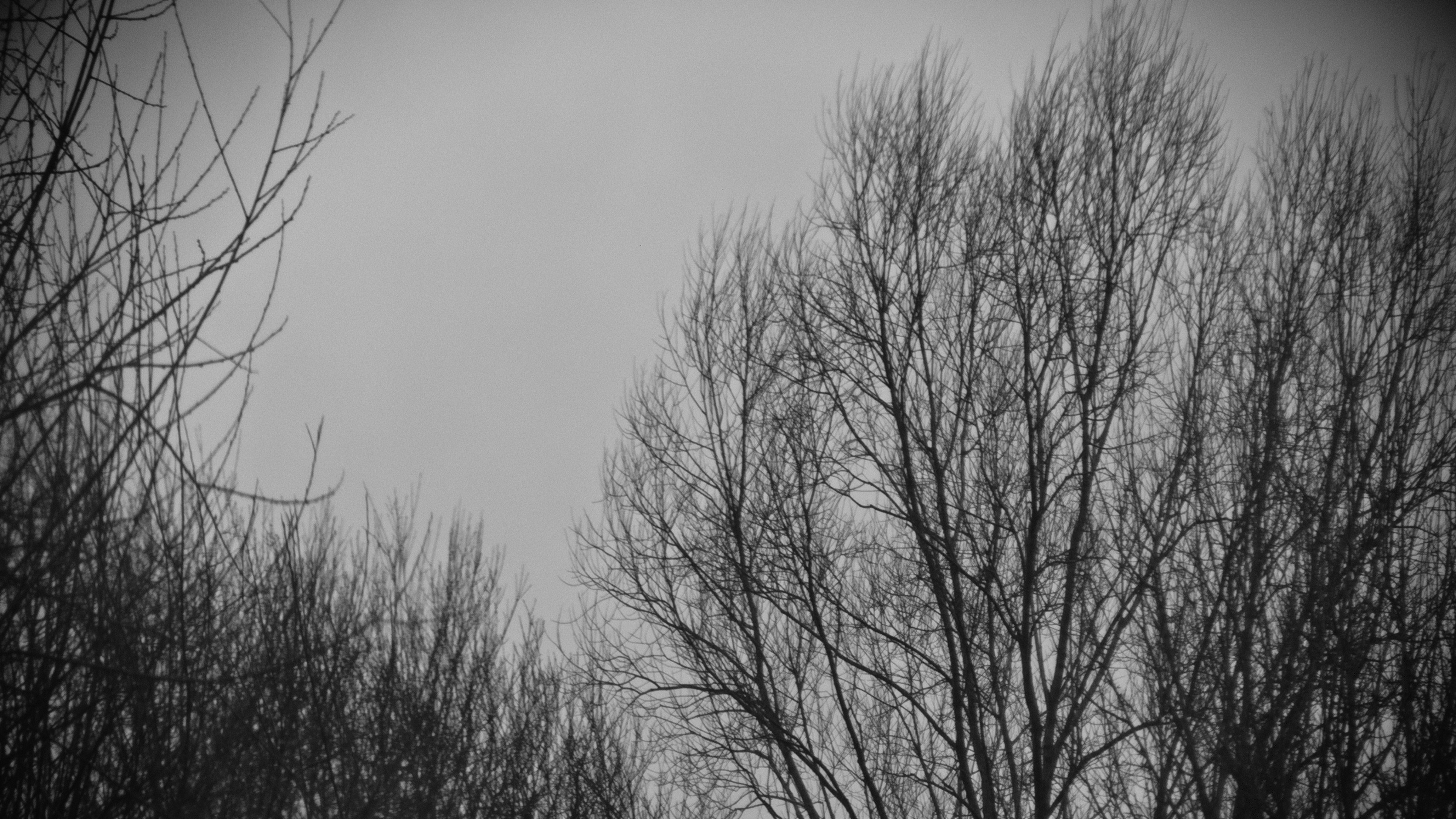 In Winter