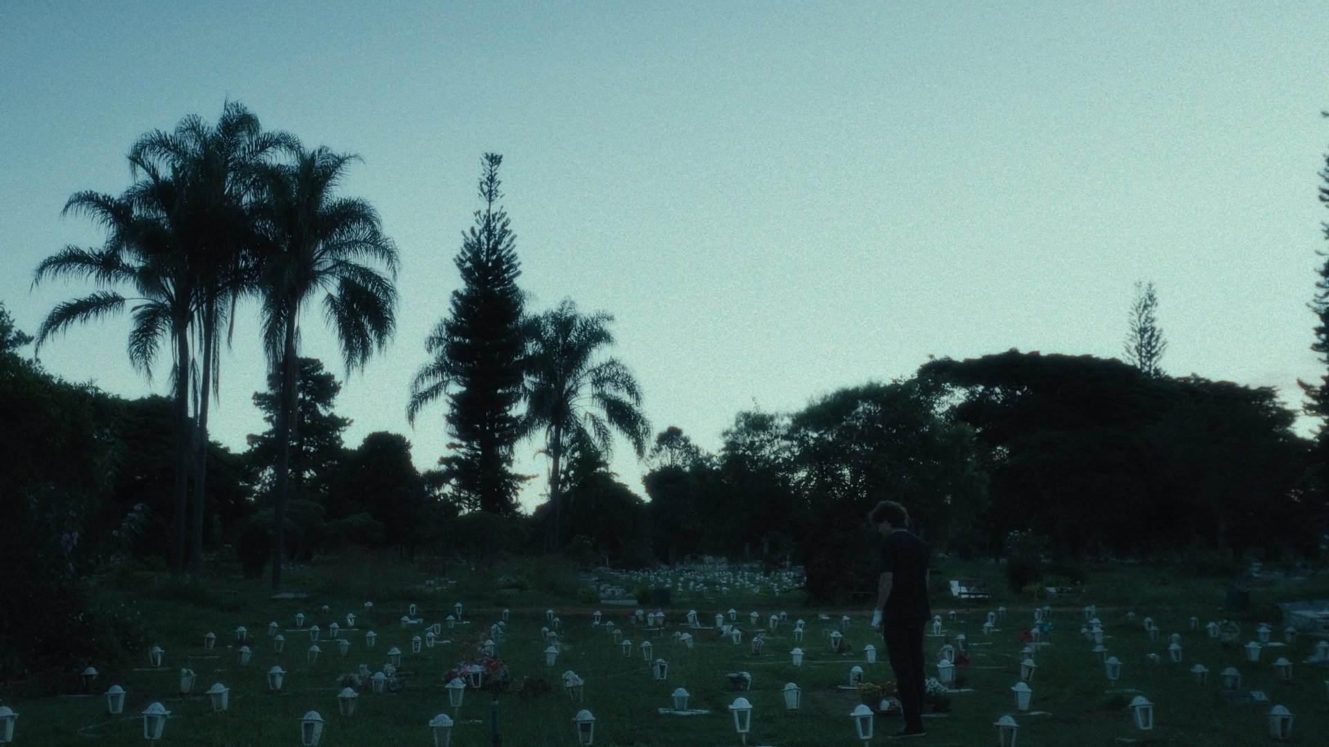 Lágrimas Holandesas