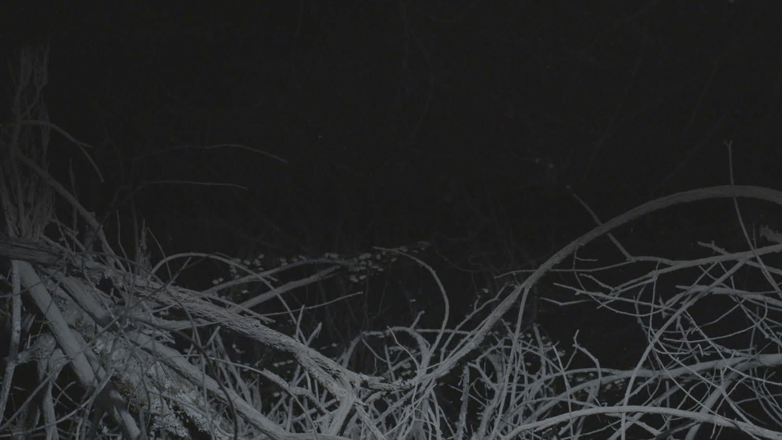 All the Planets in My Heart